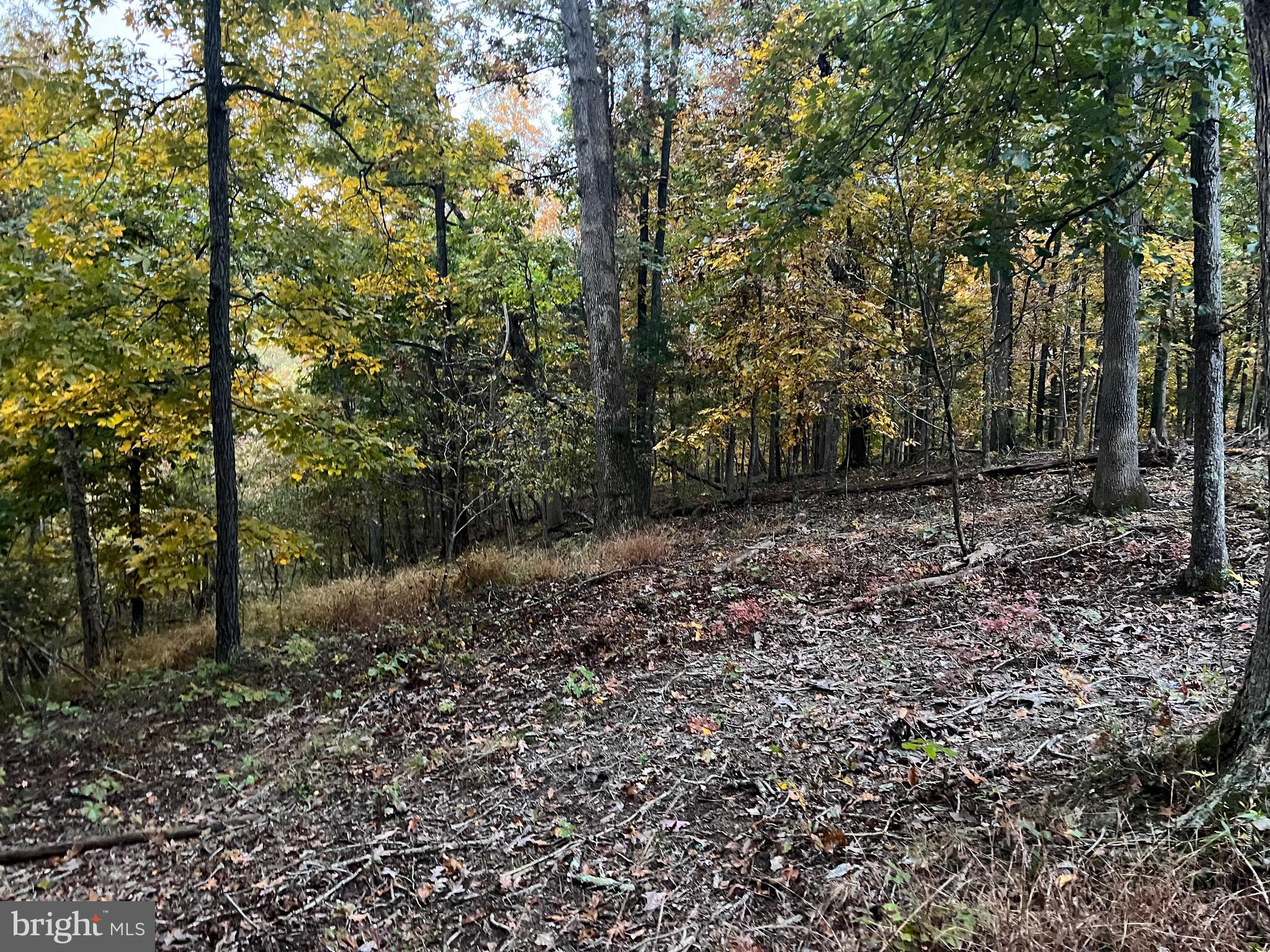 Lot 23 OAK HILL COURT
