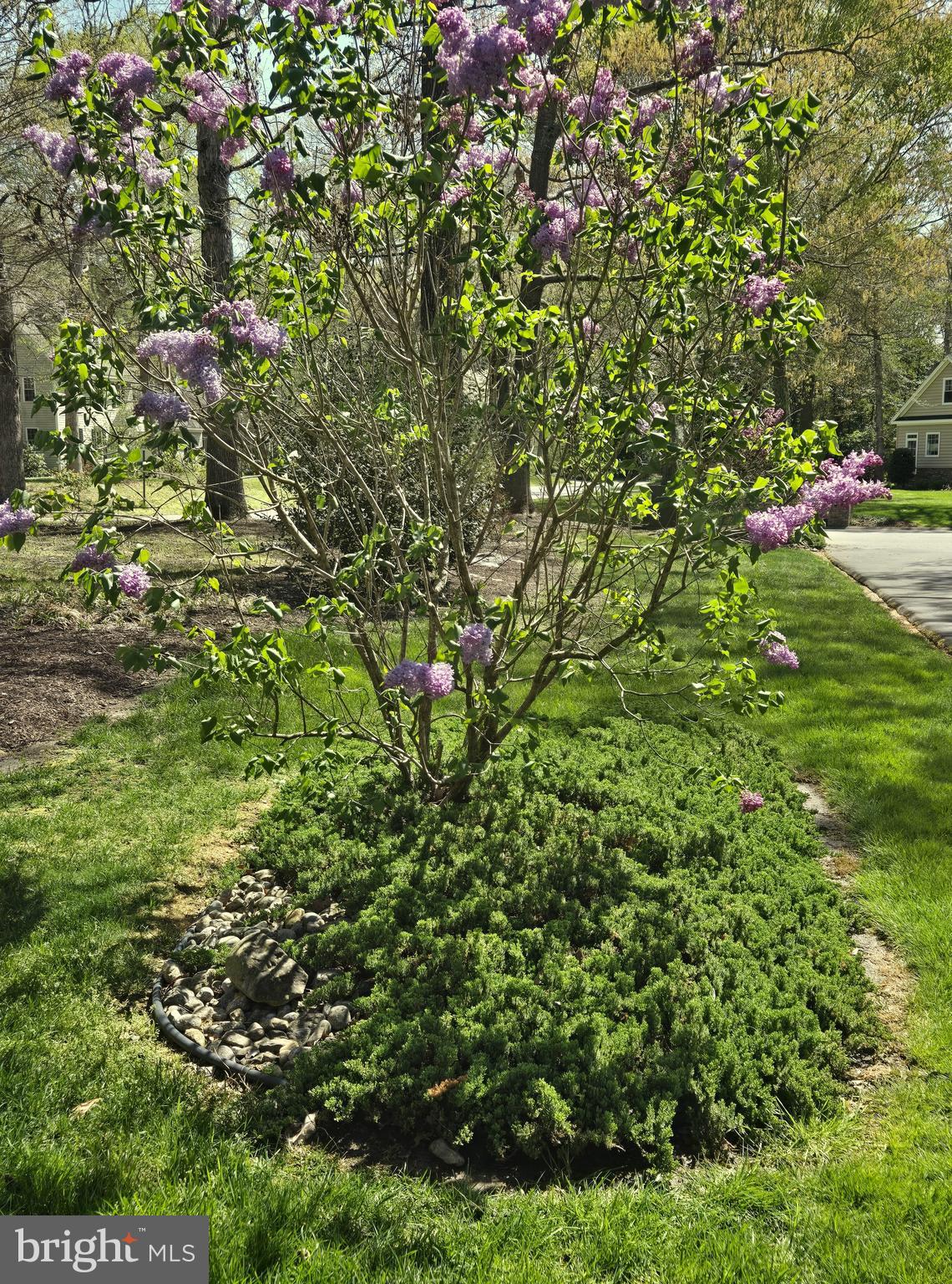 WEST NITHSDALE - Residential