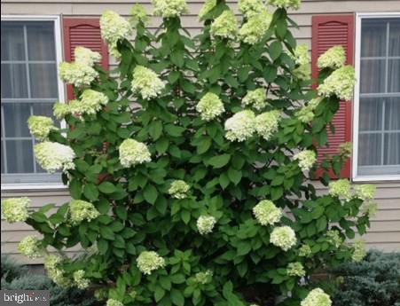 WEST NITHSDALE - Residential