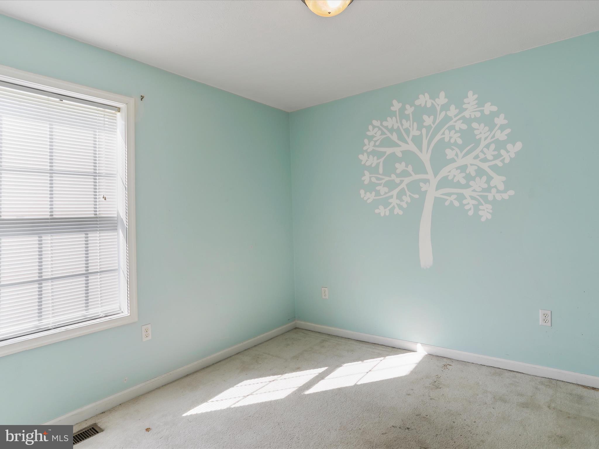 OPEQUON MEADOWS - Residential