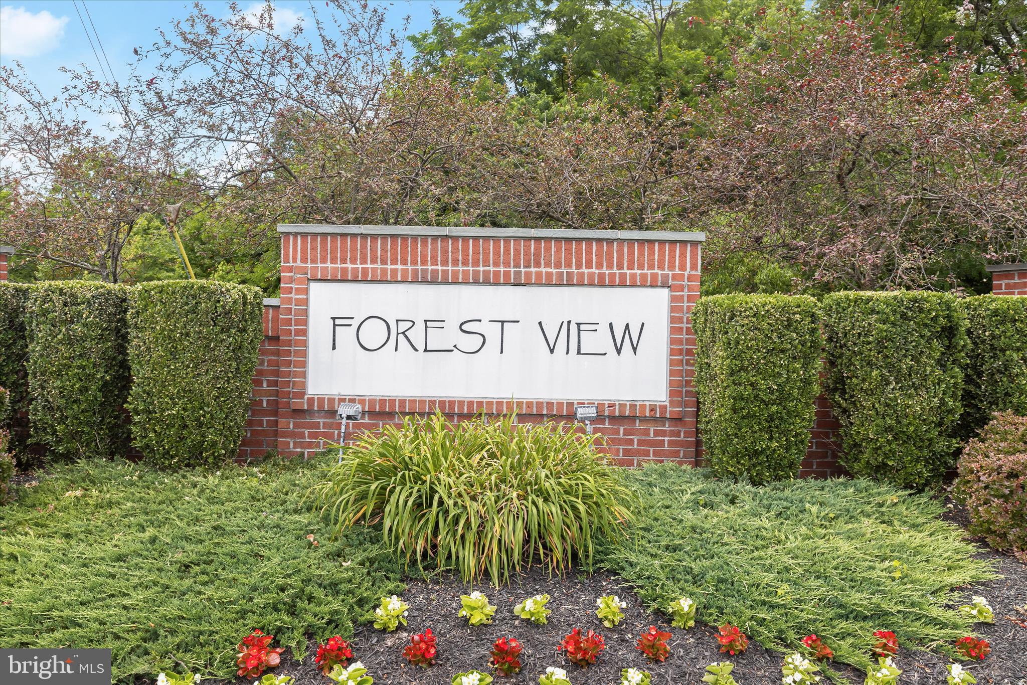 FOREST VIEW - Residential