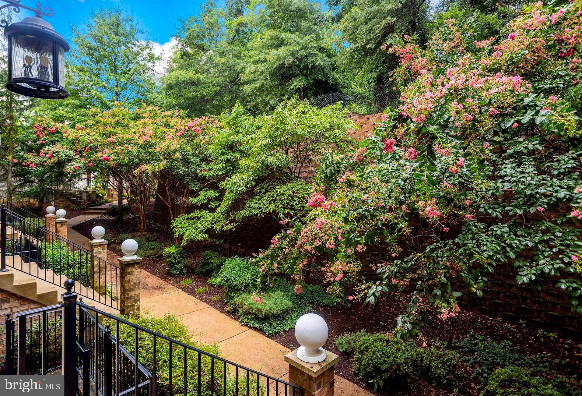 CREEKSIDE COVE - Residential