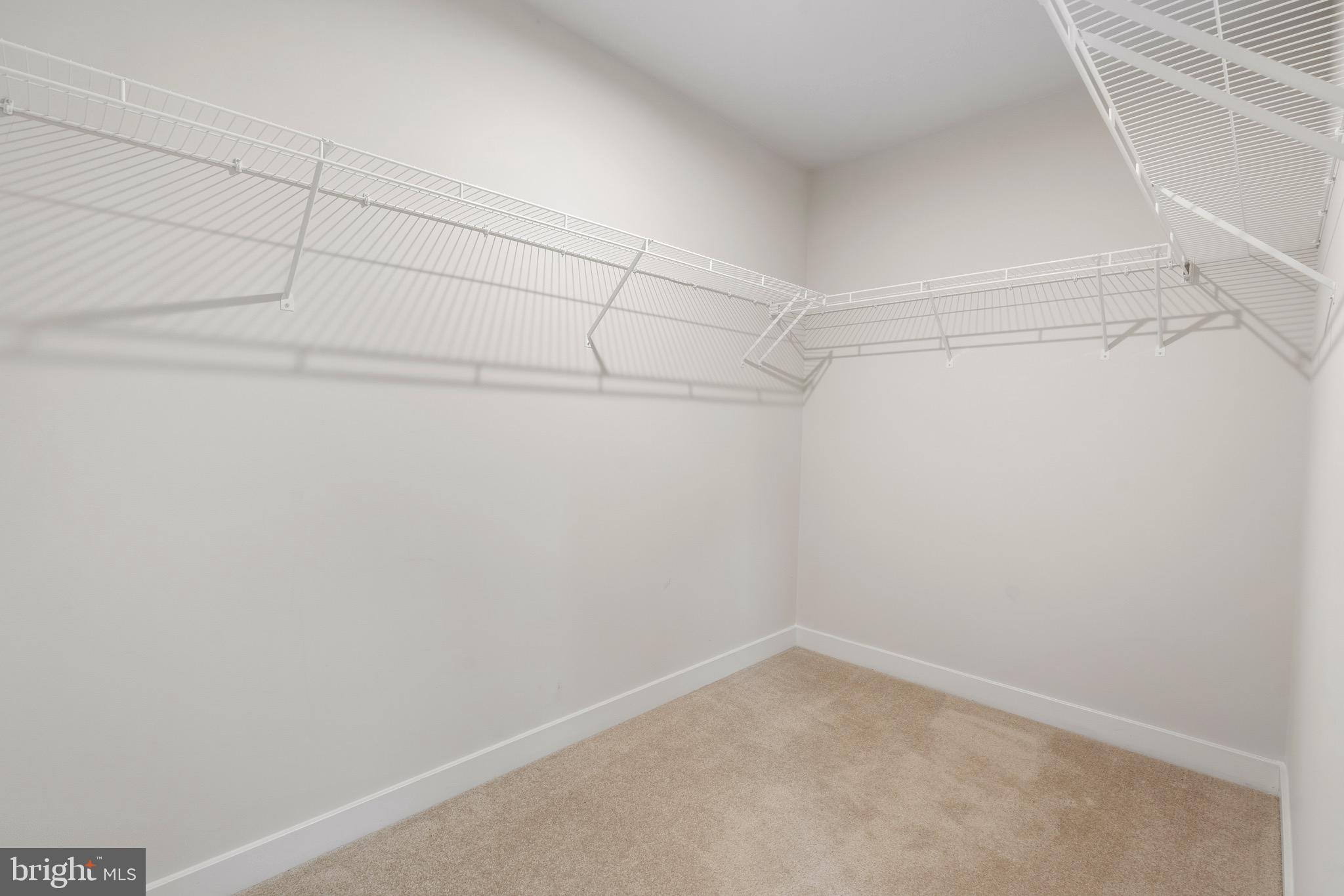 CARDINAL POINTE - Residential