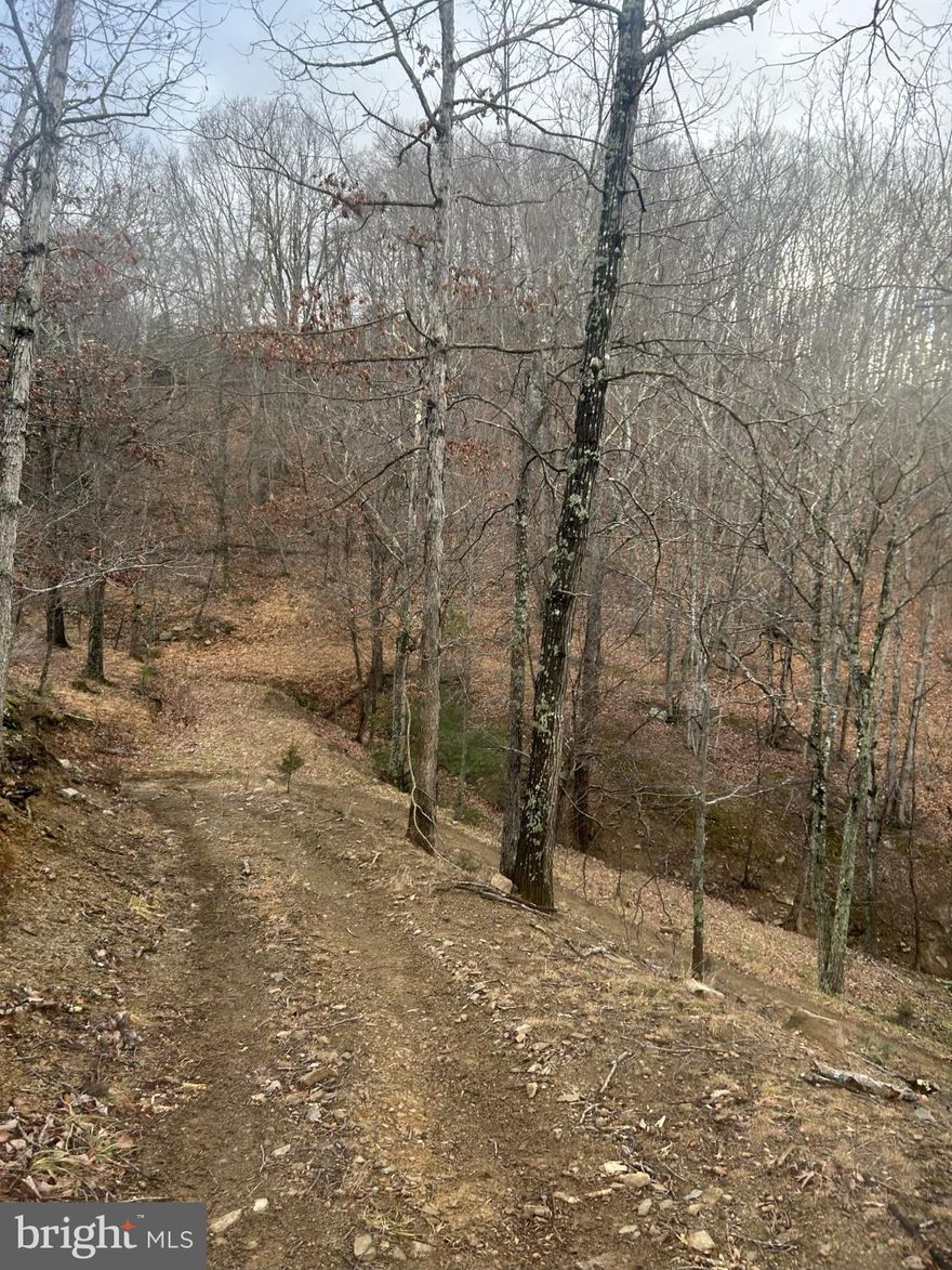 This 35 acre tract is easily accessible, has excellent hunting opportunities, year round stream, small pond, several building sites and electric is available.  The perfect location to build your own permanent residence or a cabin getaway.  6 Acres of this property is subject to a Life Estate with an older occupied modular.