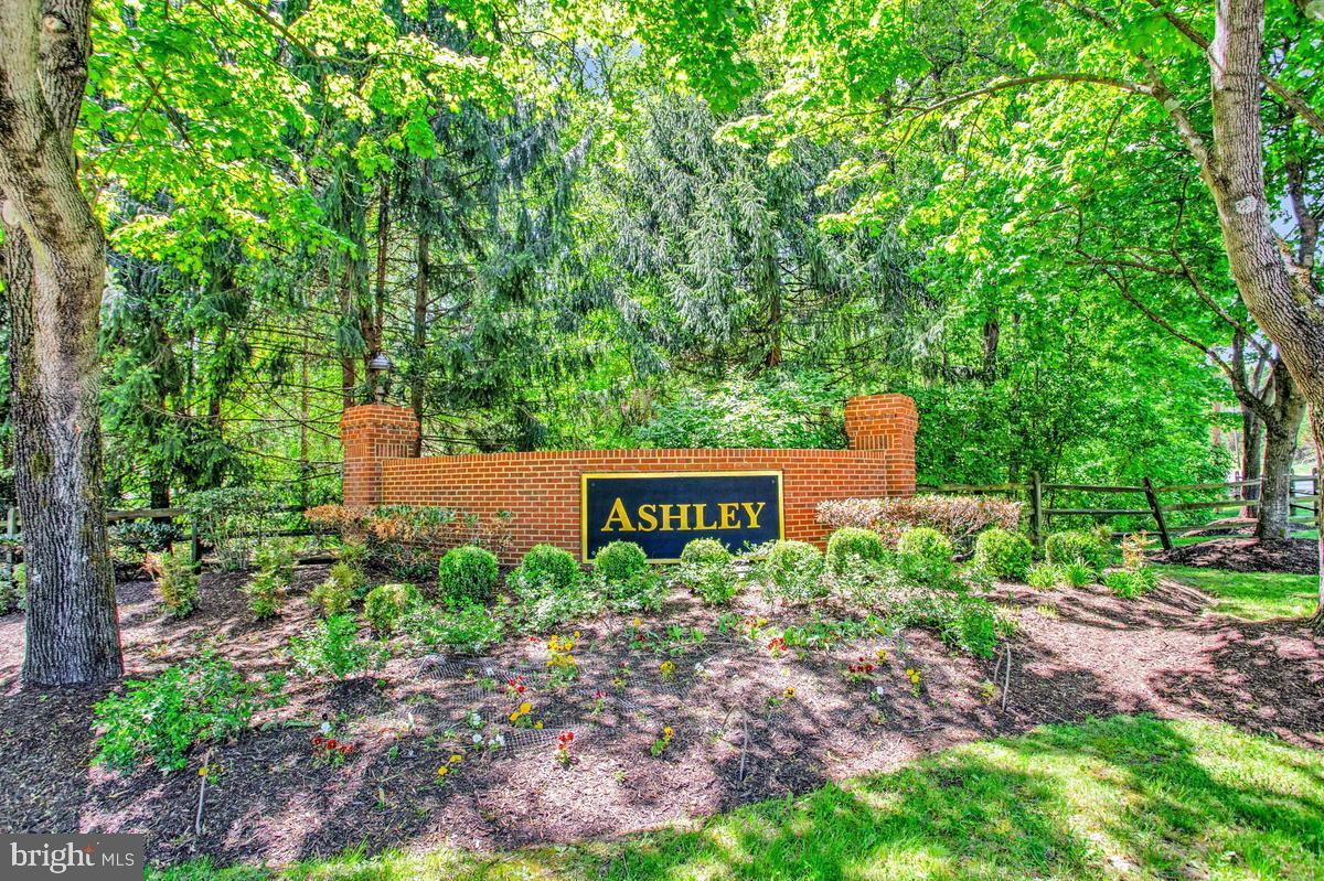ASHLEY - Residential