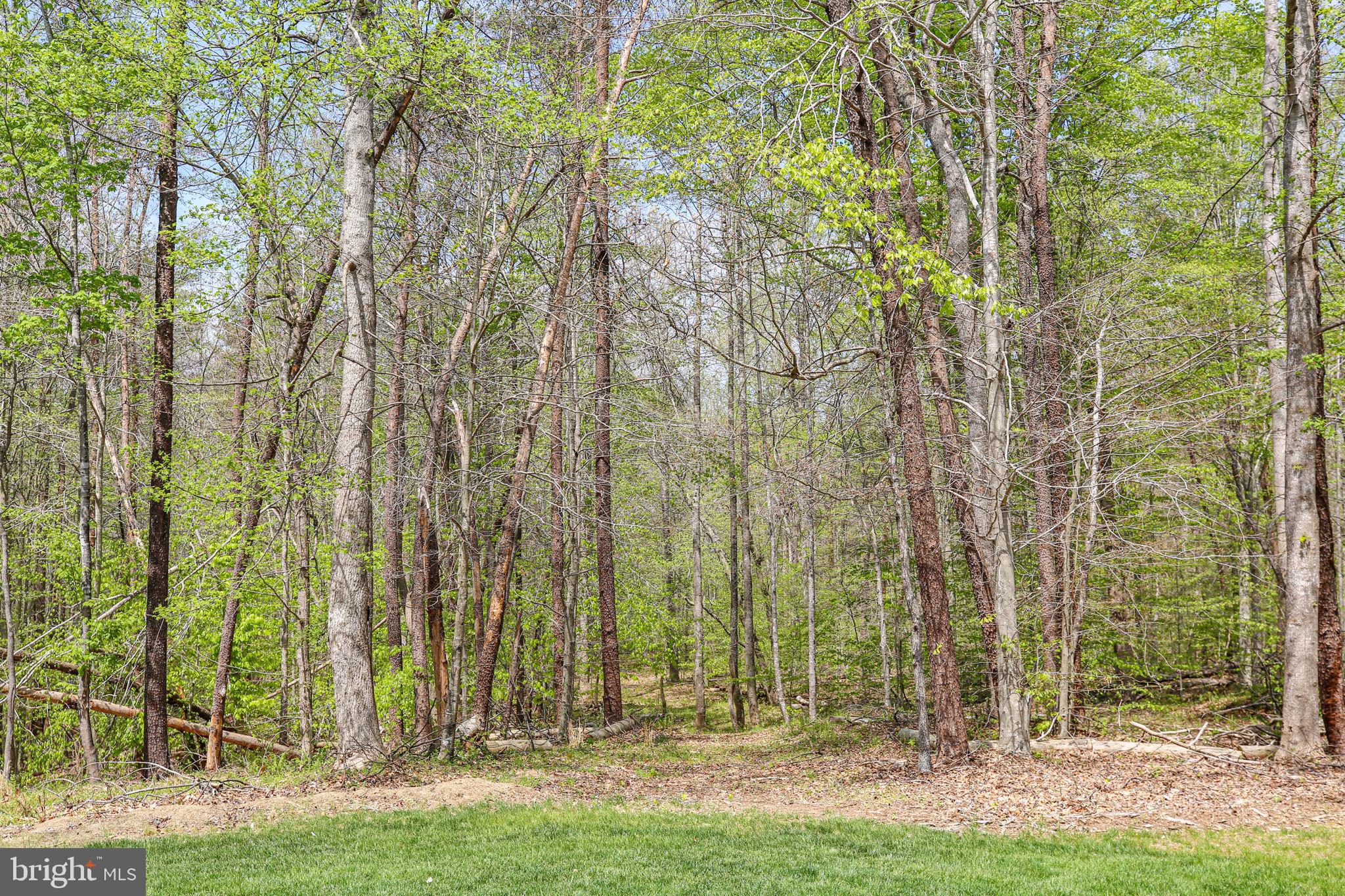 KINGS GRANT - Residential