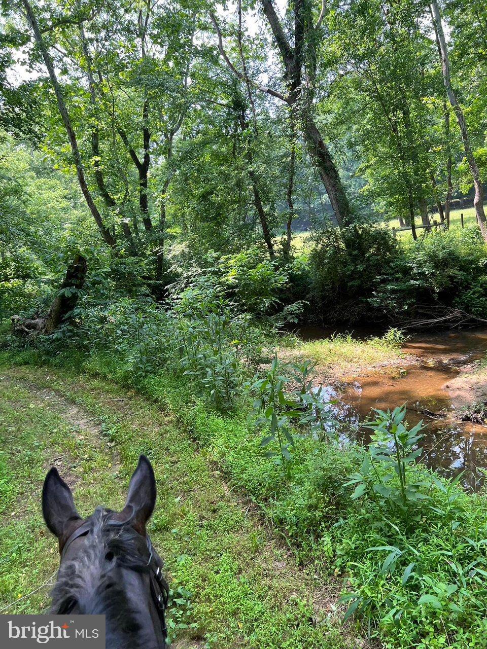 KINGS GRANT - Residential