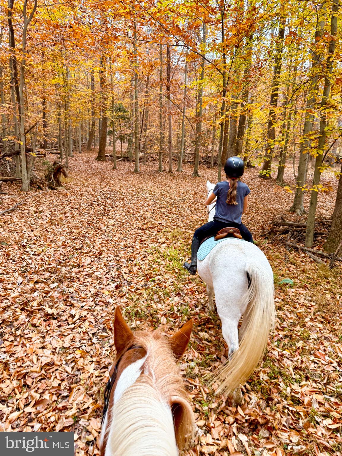 KINGS GRANT - Residential