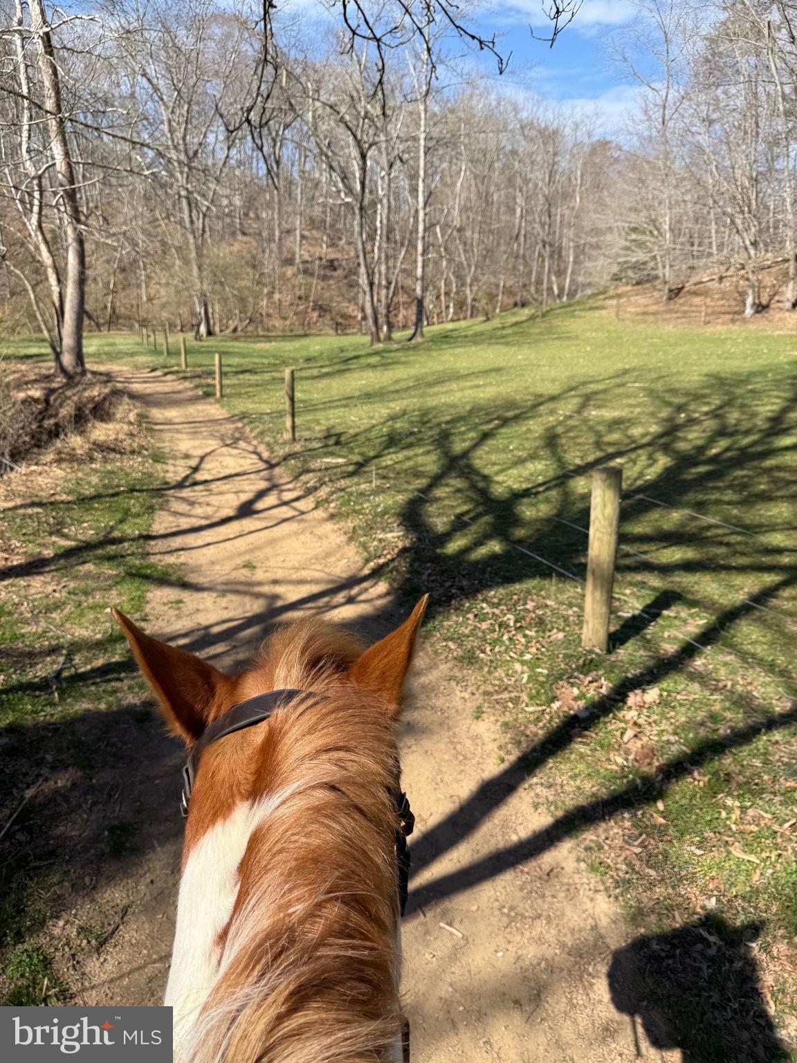 KINGS GRANT - Residential