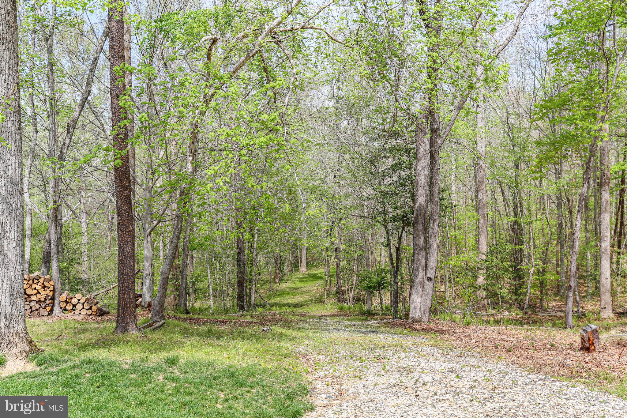 KINGS GRANT - Residential