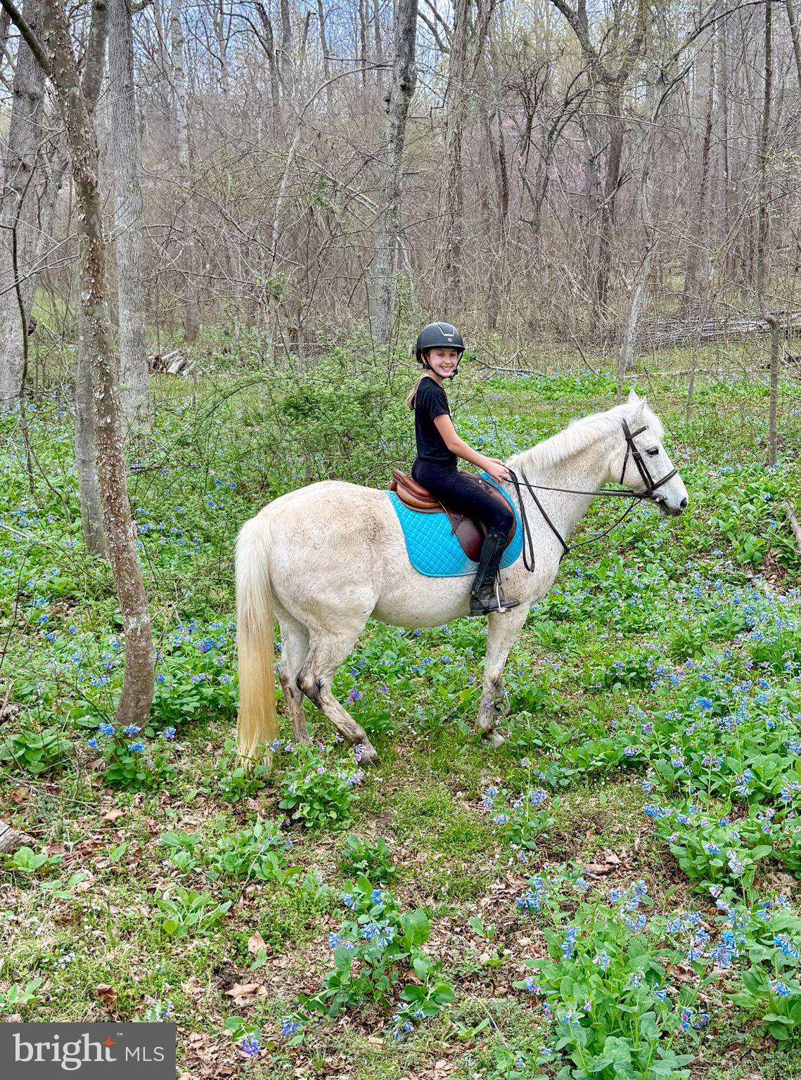 KINGS GRANT - Residential