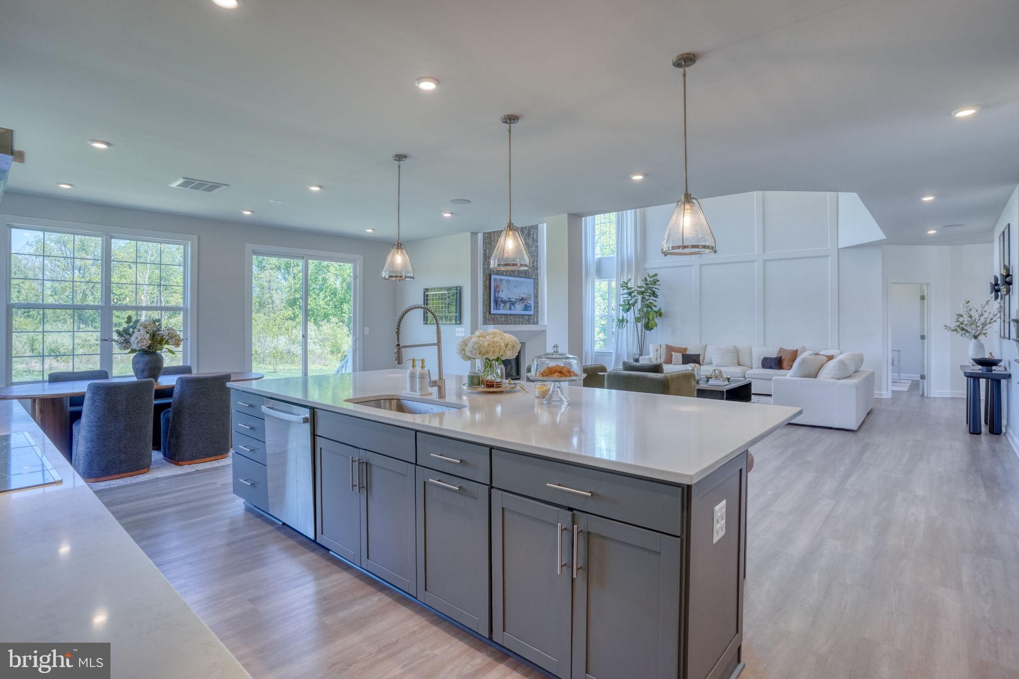 SUMMIT POINTE - Residential