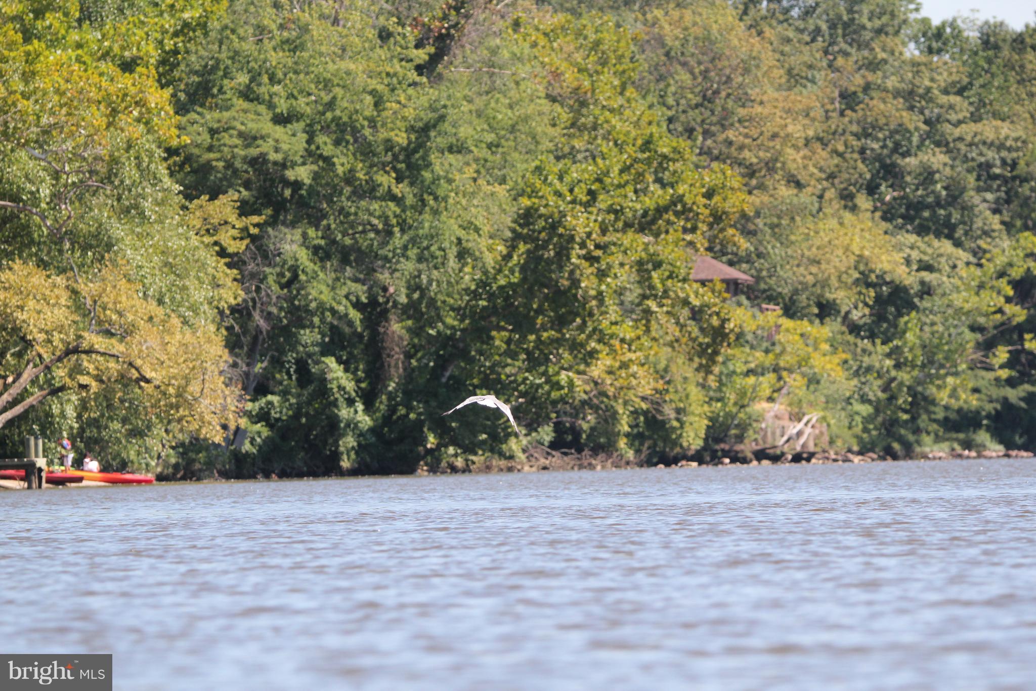 BARRINGTON POINTE CONDOS - Residential
