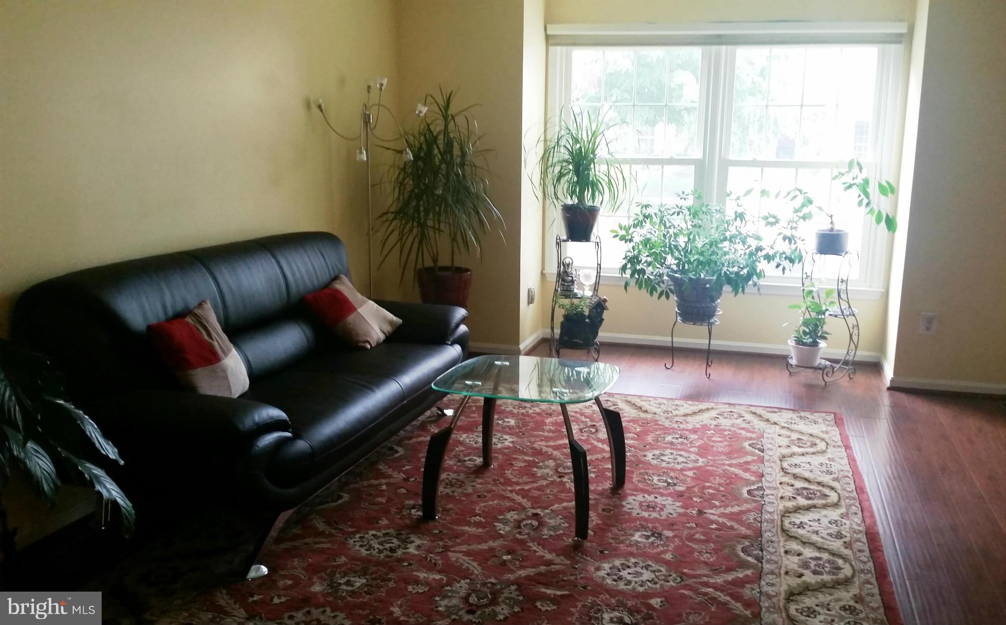 HOLLY POINTE - Residential