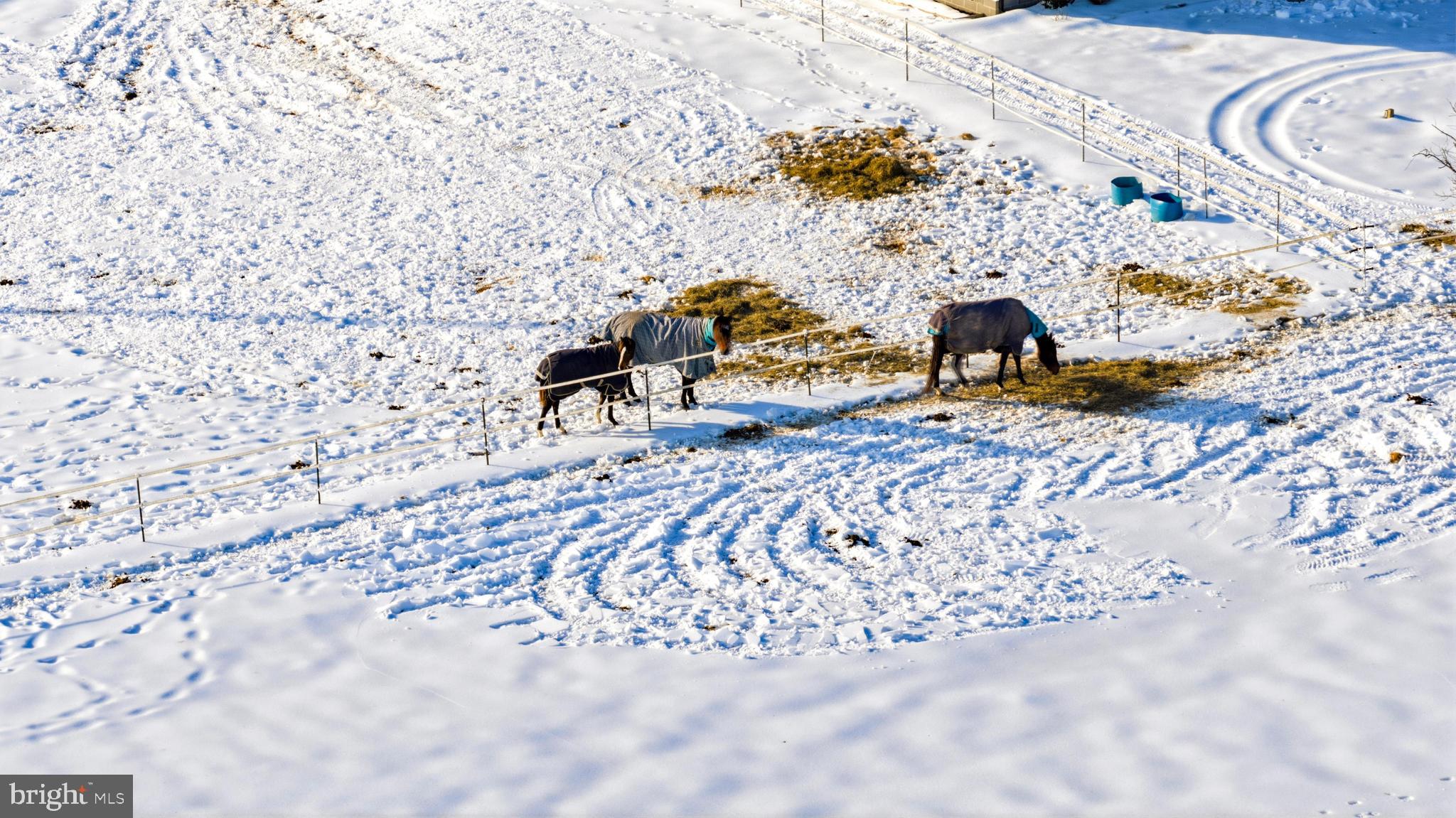 CORDOVA - Residential