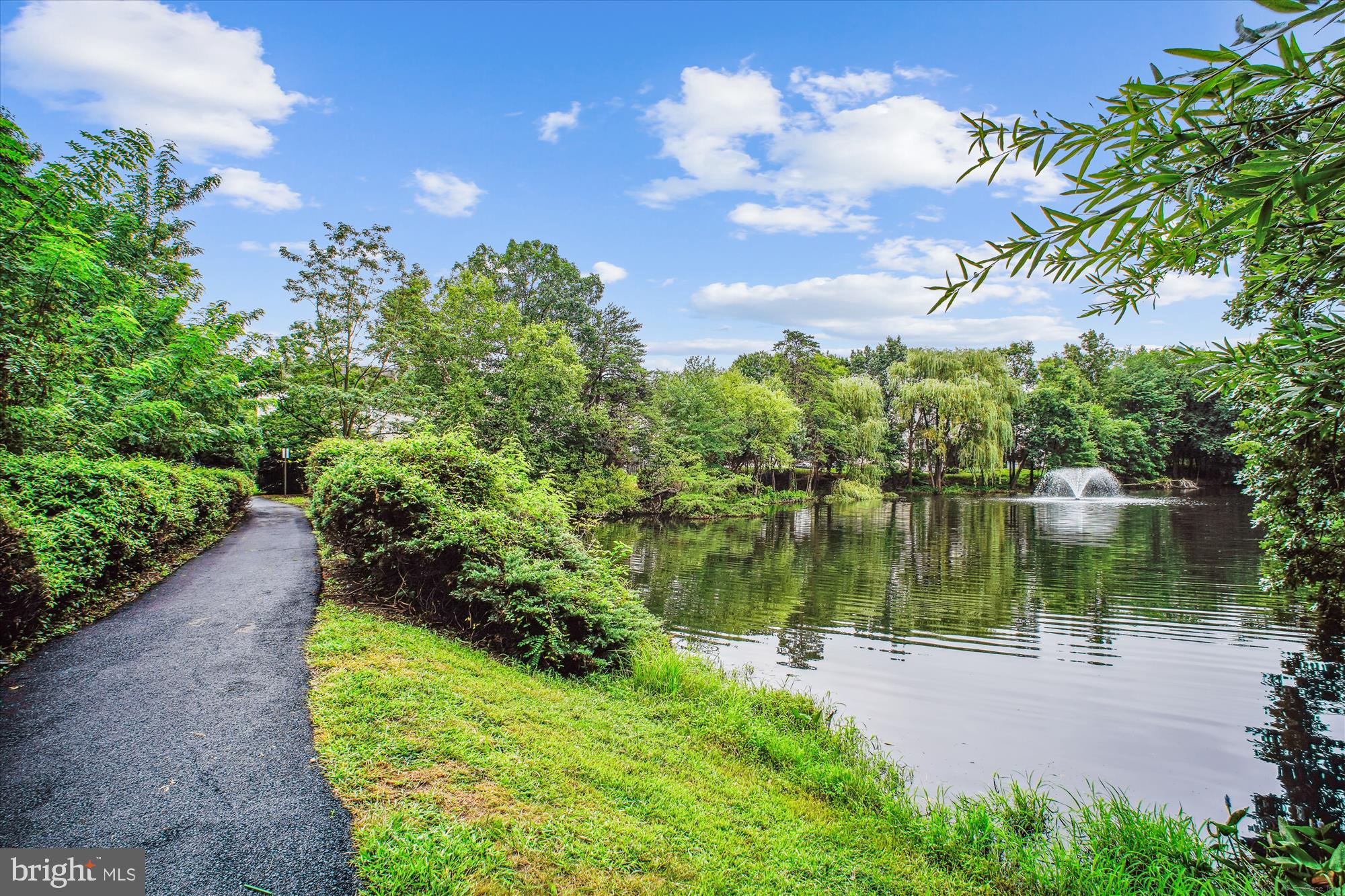 DOMINION STATION CONDOMINIUM - Residential