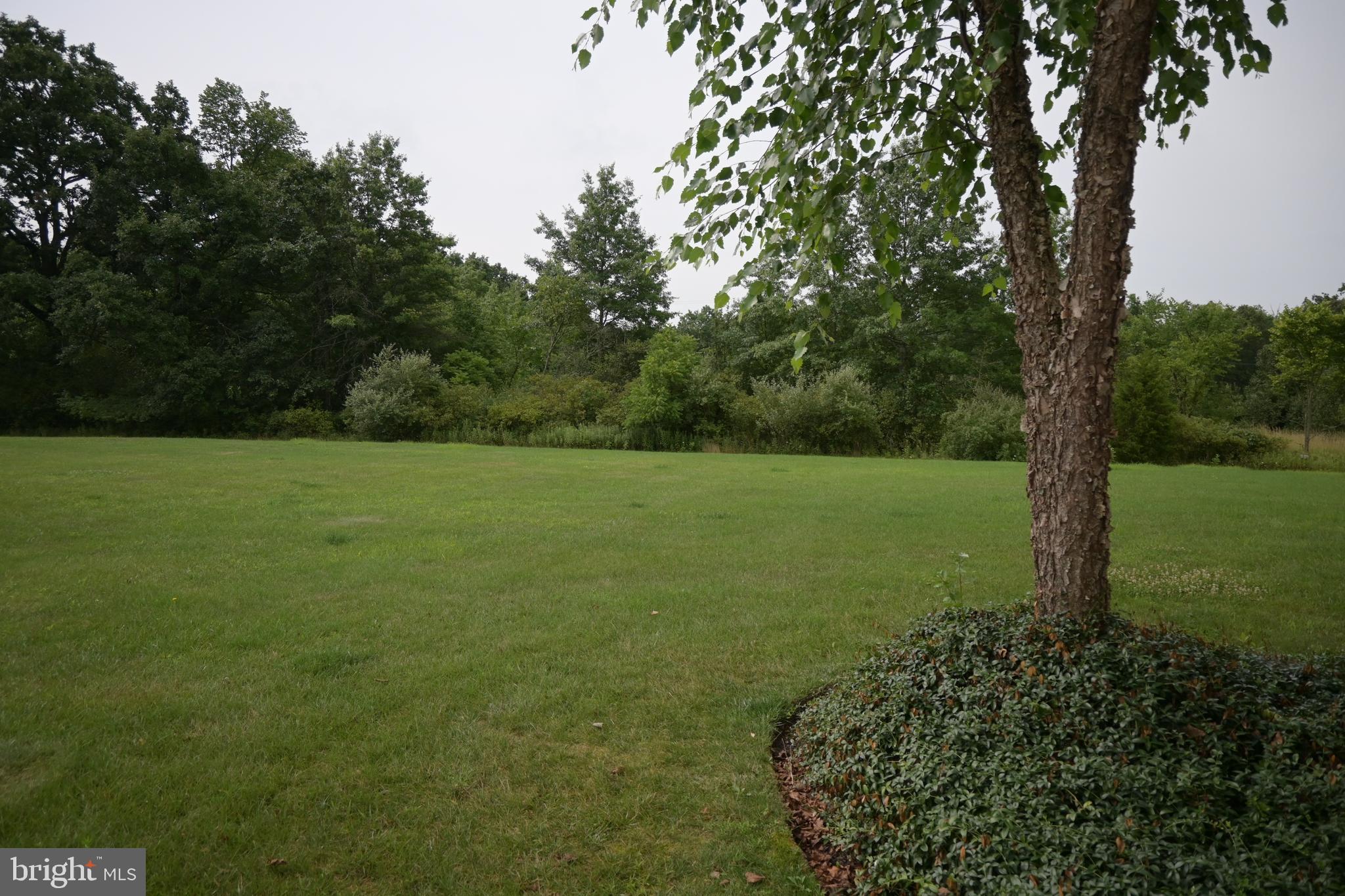 WILLOW STREAM - Residential