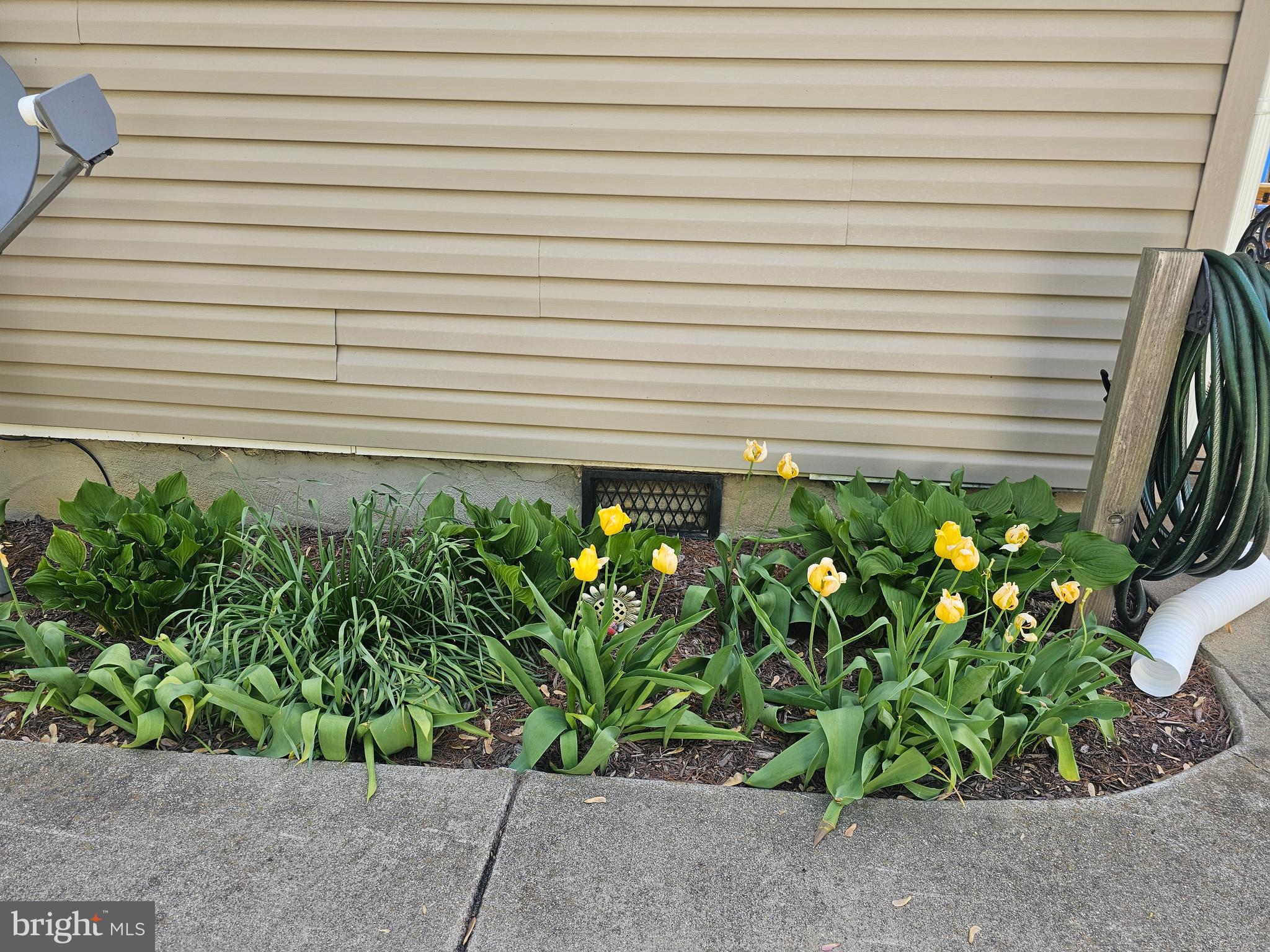 POINT ESTATES - Residential