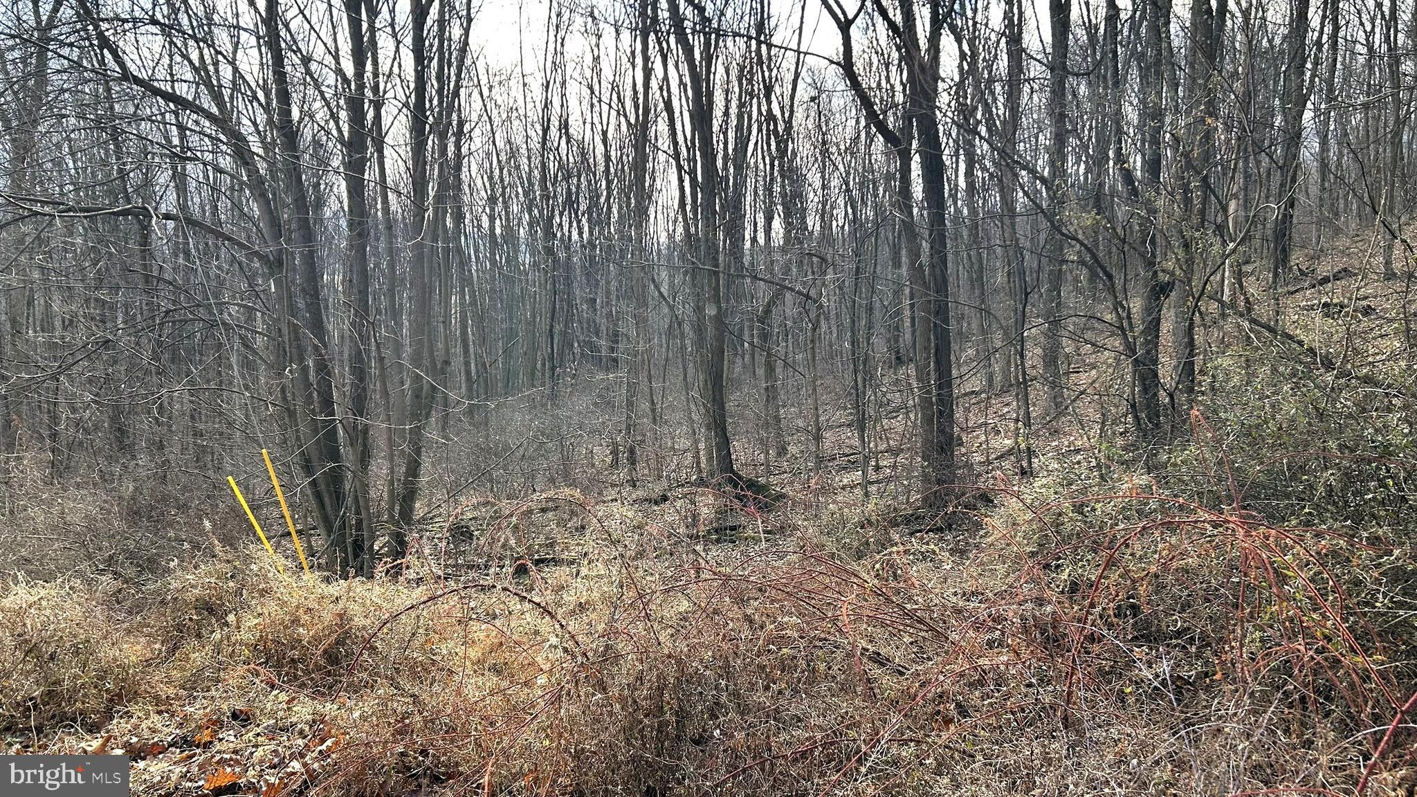 LOT #17 WEAVER WOODS RD