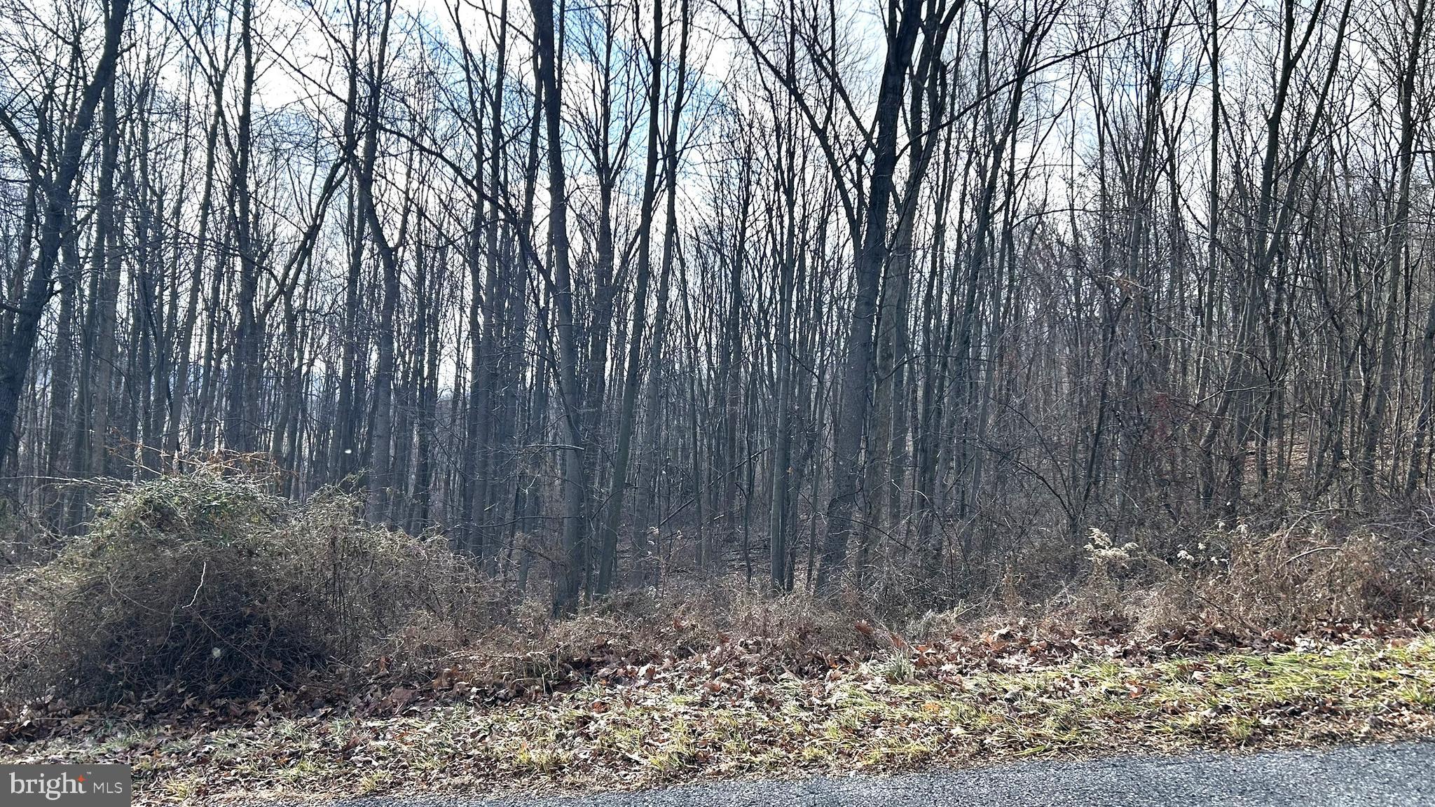 LOT #17 WEAVER WOODS RD