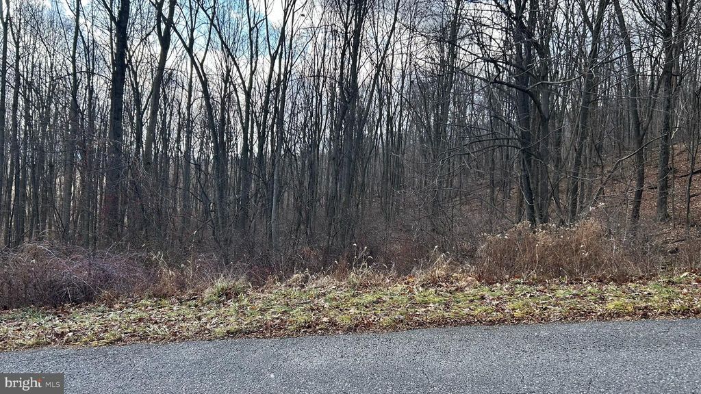 Photo of Lot #17 Weaver Woods Rd, SAXTON, PA 16678 (MLS # PABD2002954)