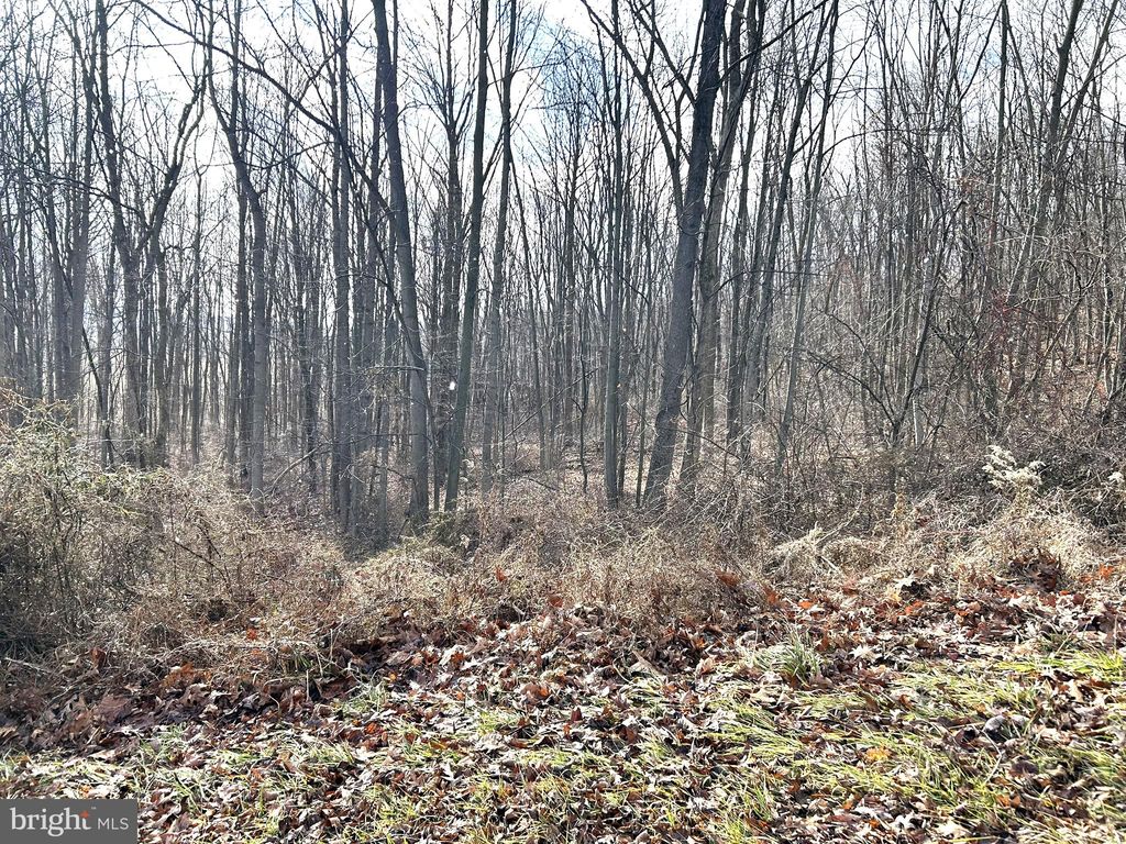 Photo of Lot #17 Weaver Woods Rd, SAXTON, PA 16678 (MLS # PABD2002954)