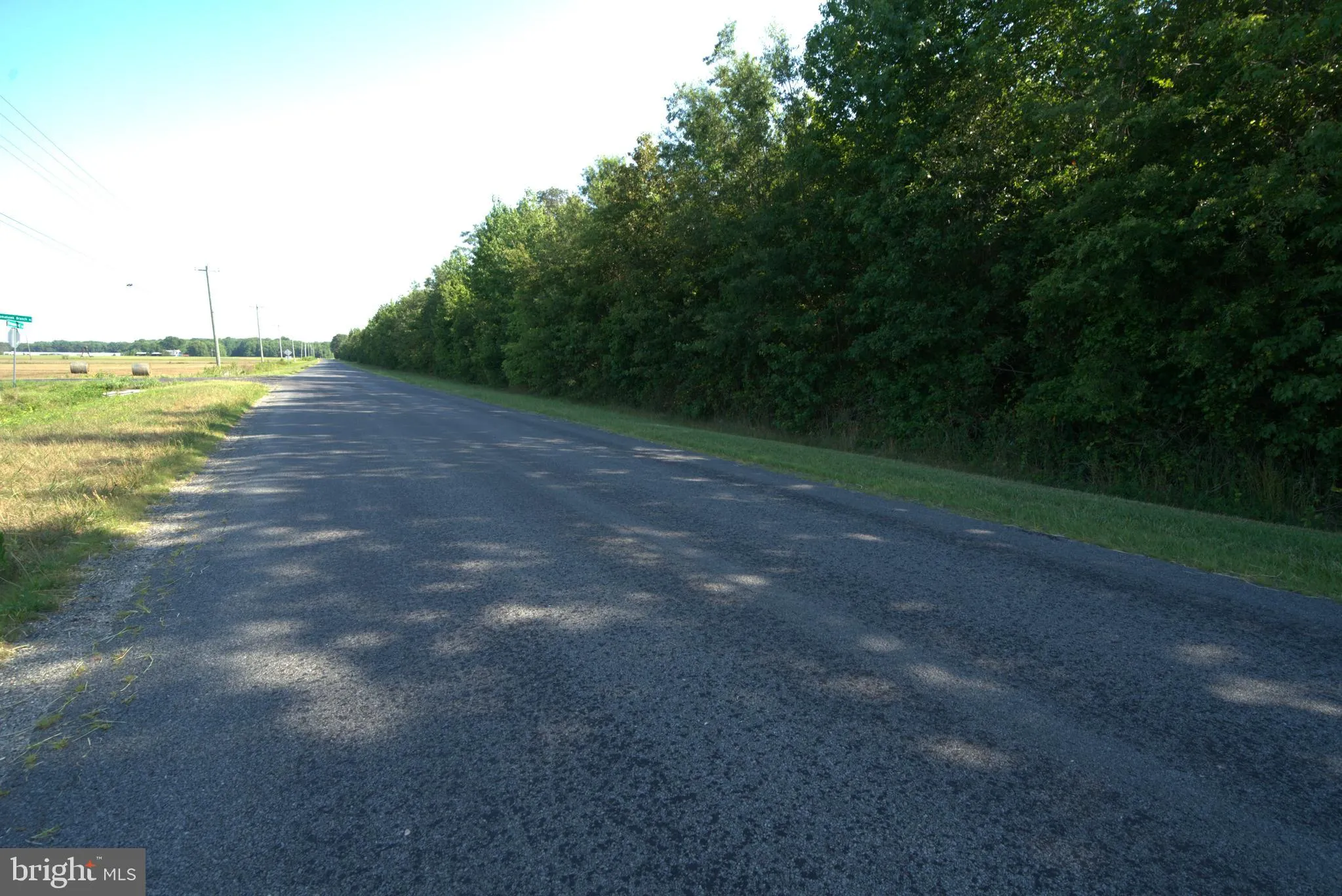 Additional image 22 of Greenwood Road, Greenwood, DE 19950