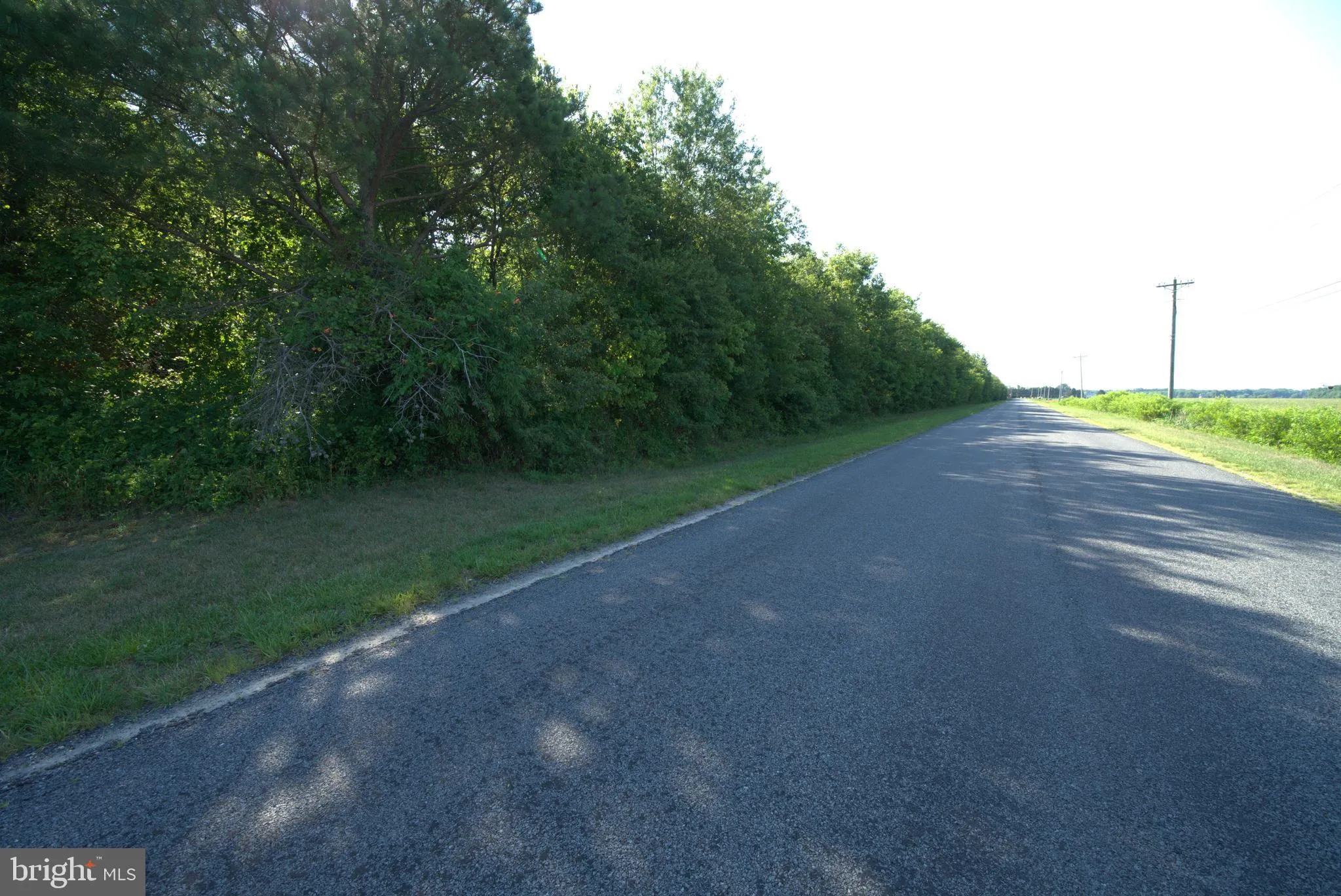Additional image 21 of Greenwood Road, Greenwood, DE 19950