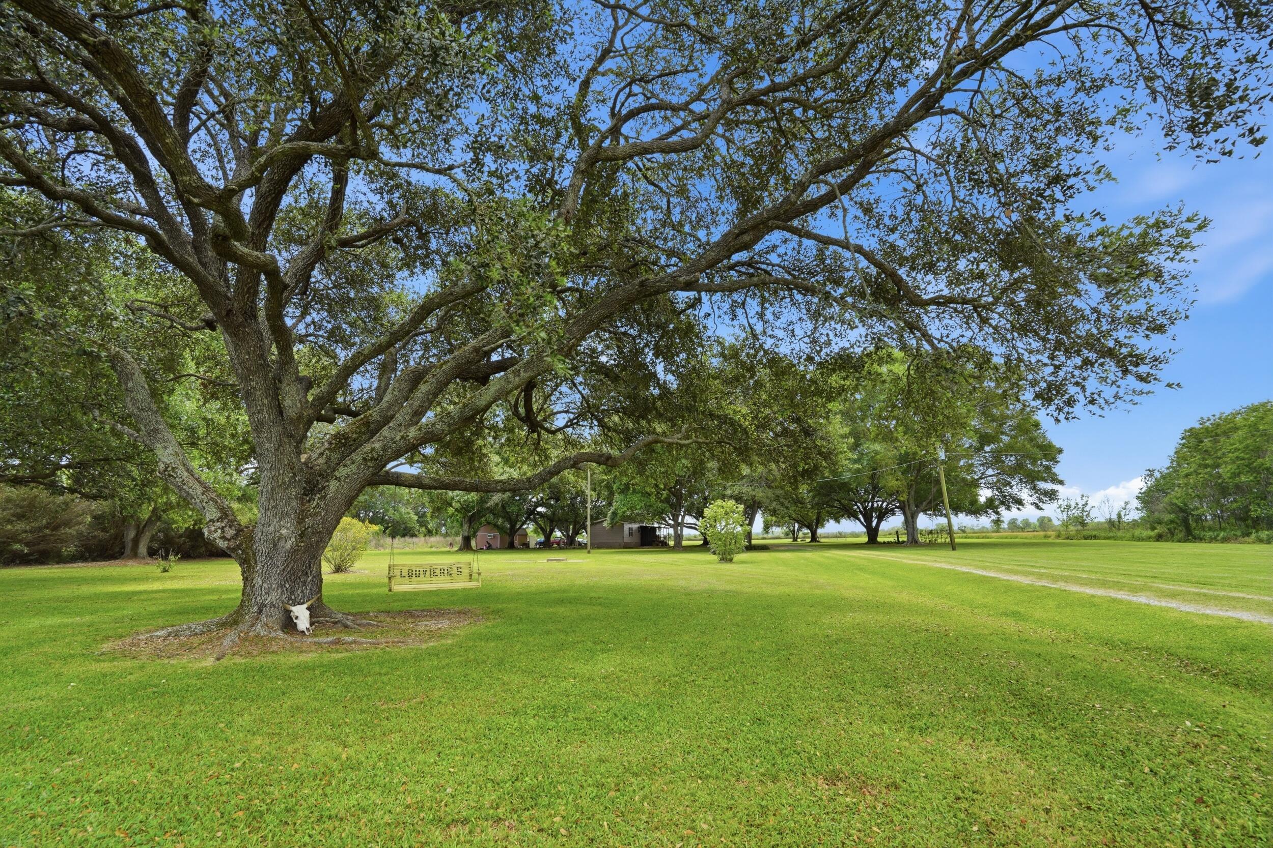 12175 Pine Island Hwy - Photo 2