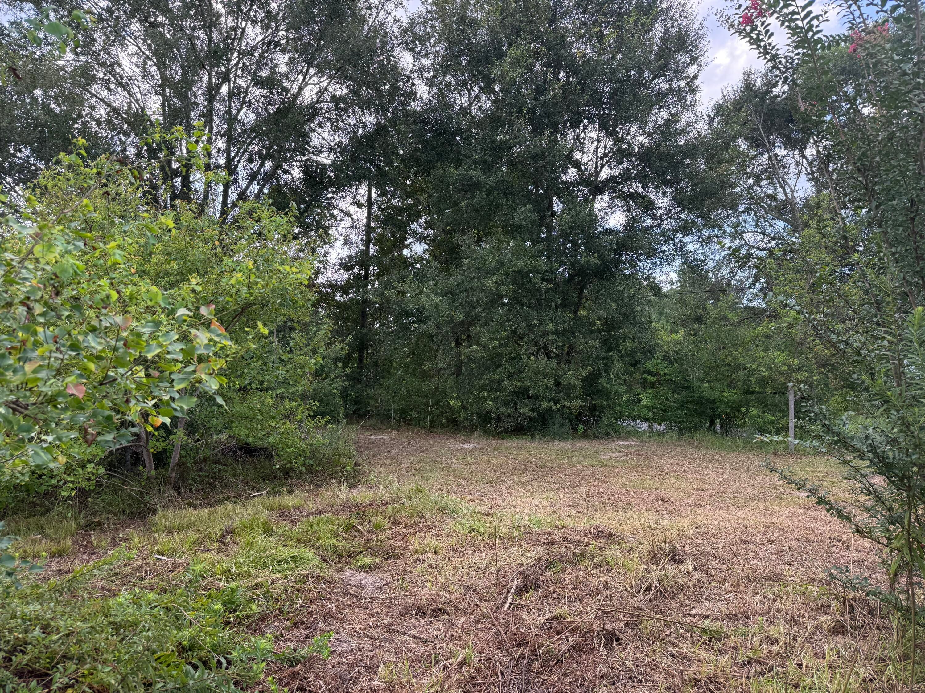 TBD Hauser Rd - Photo 2