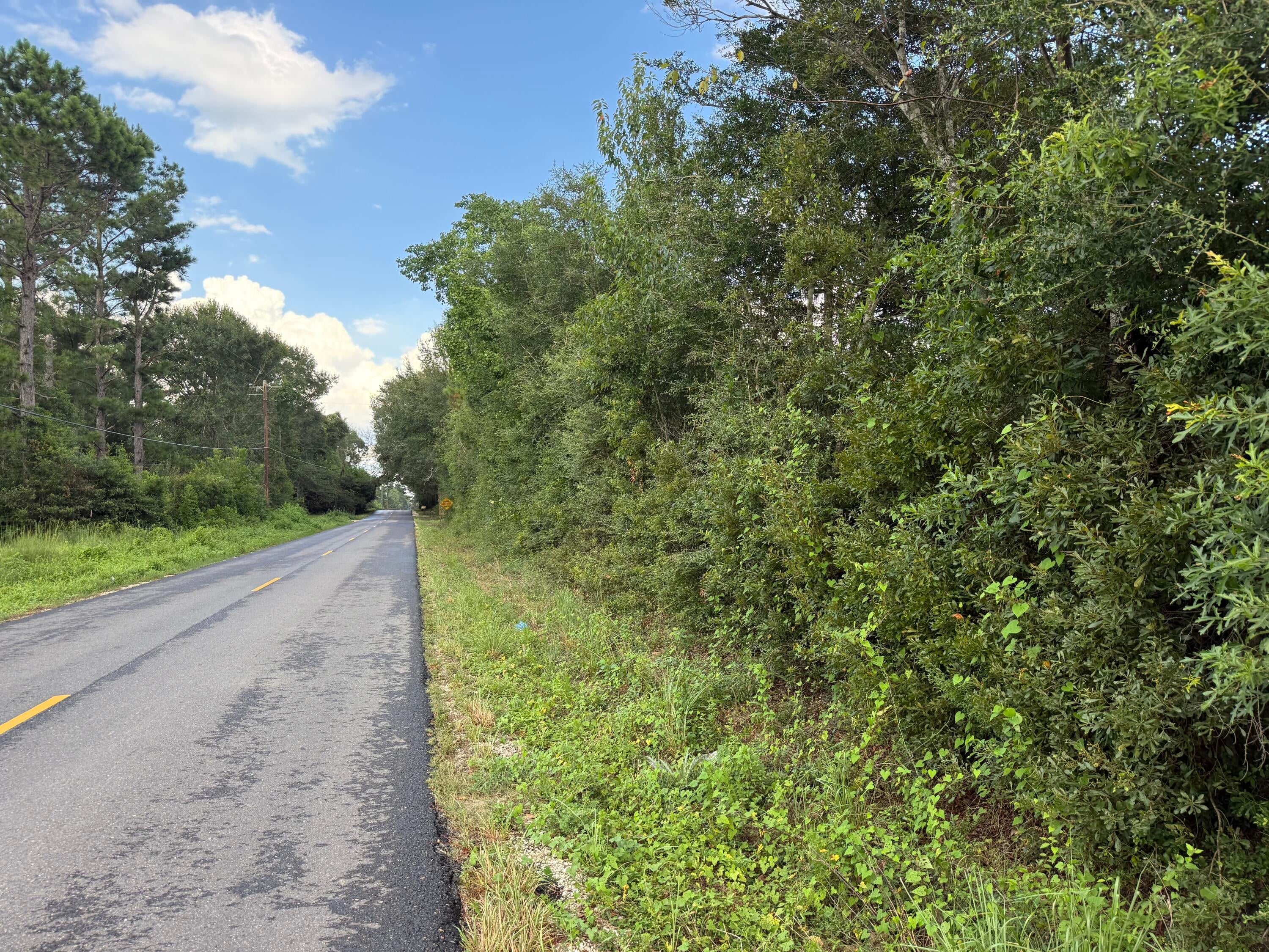 TBD Hauser Rd - Photo 4