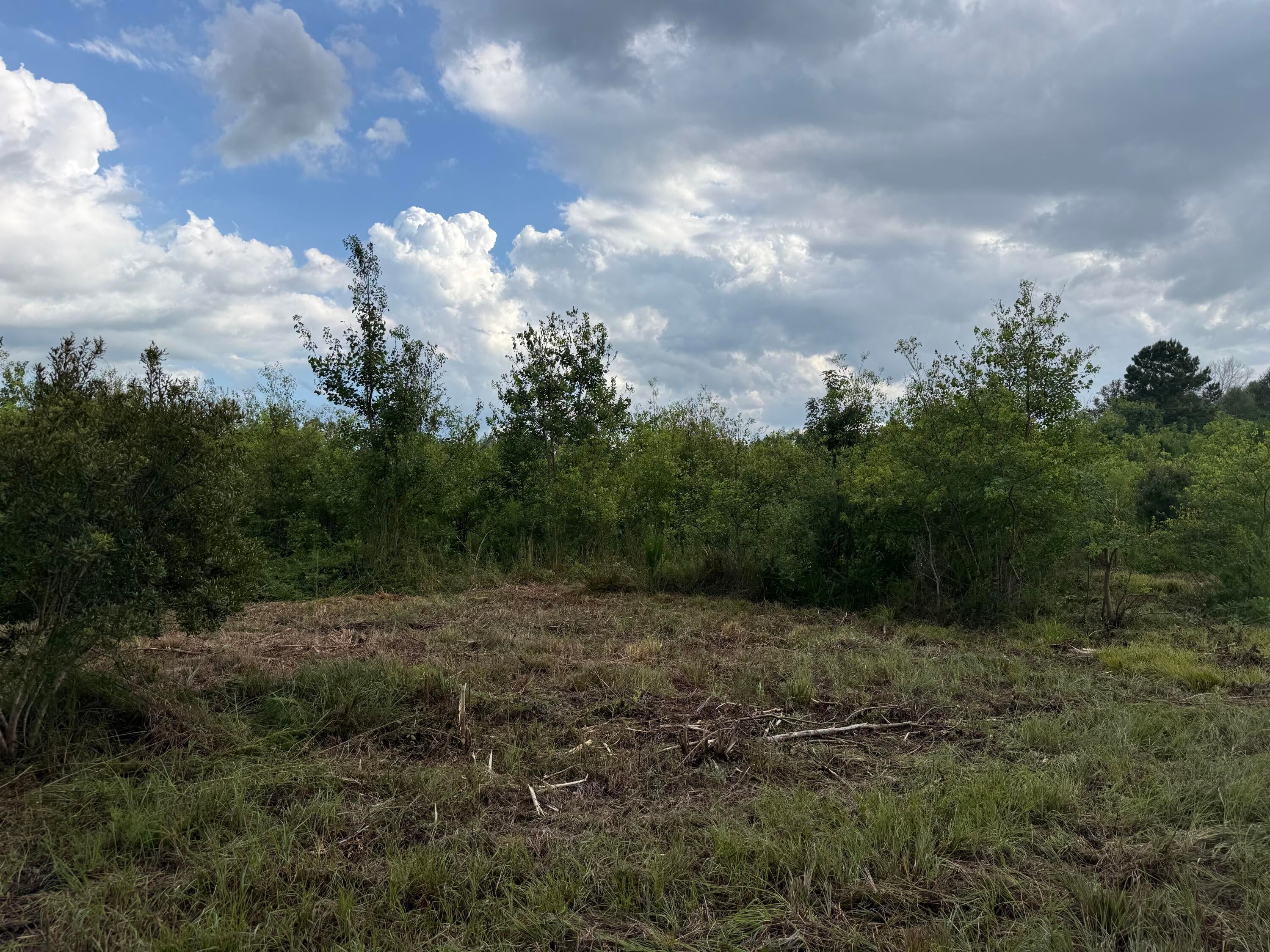 TBD Hauser Rd - Photo 3