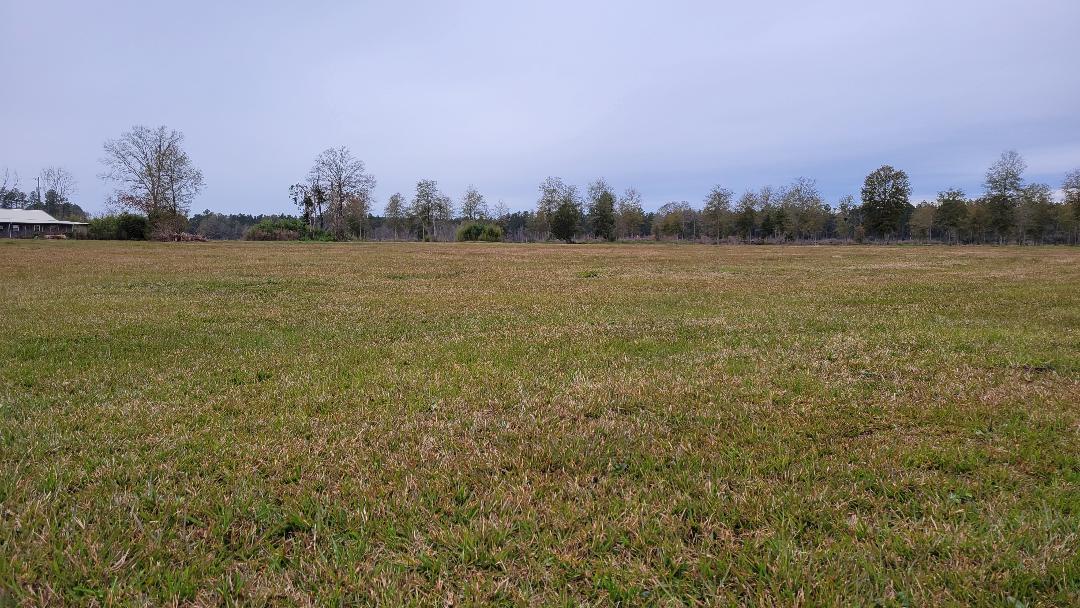 TBD HWY 27 TRACT 1 - Photo 2