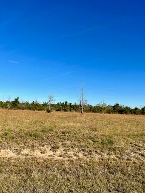 ELENGTON RD, TRACT 9 - Photo 4