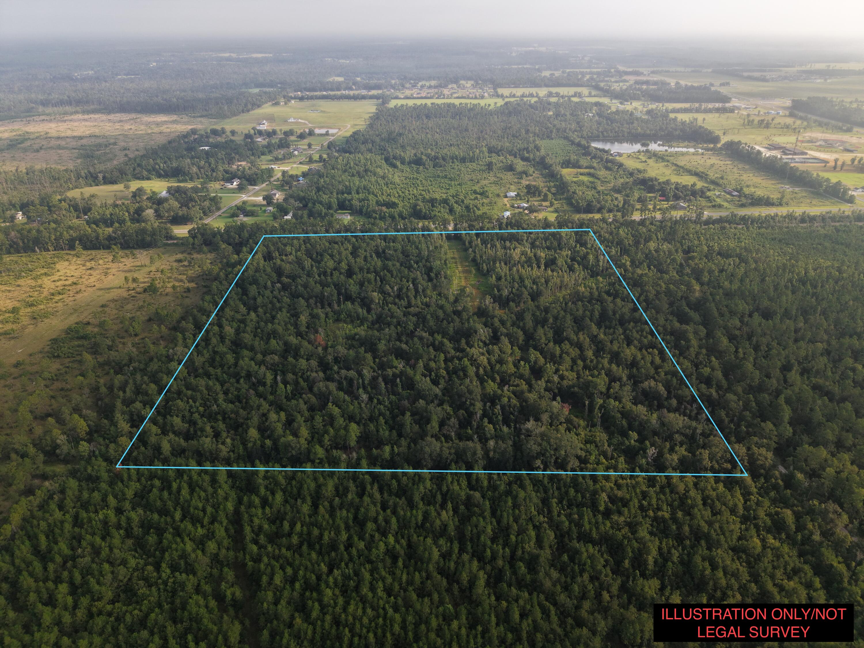6414 Hwy 12 - Photo 3