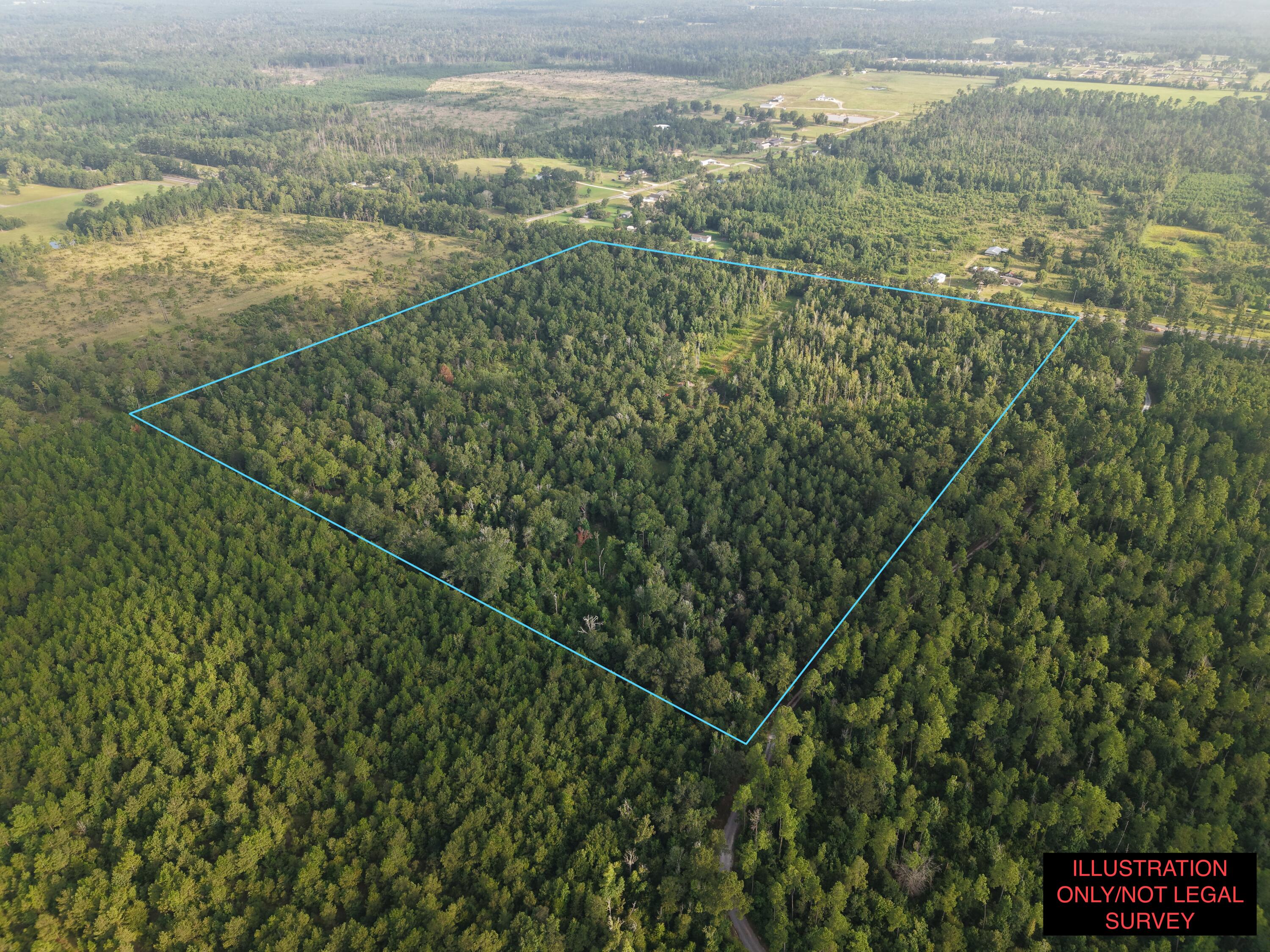 6414 Hwy 12 - Photo 2
