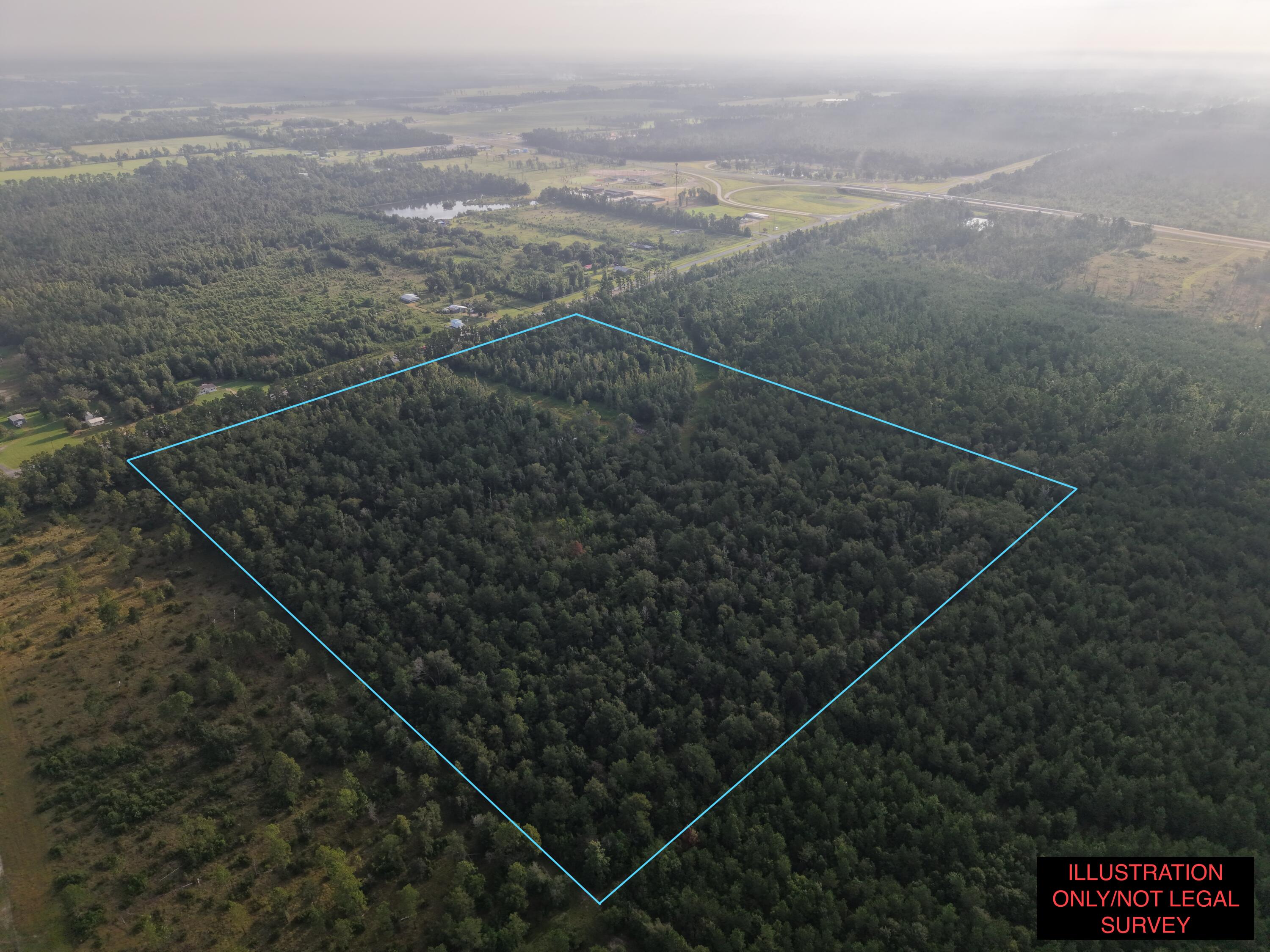 6414 Hwy 12 - Photo 4