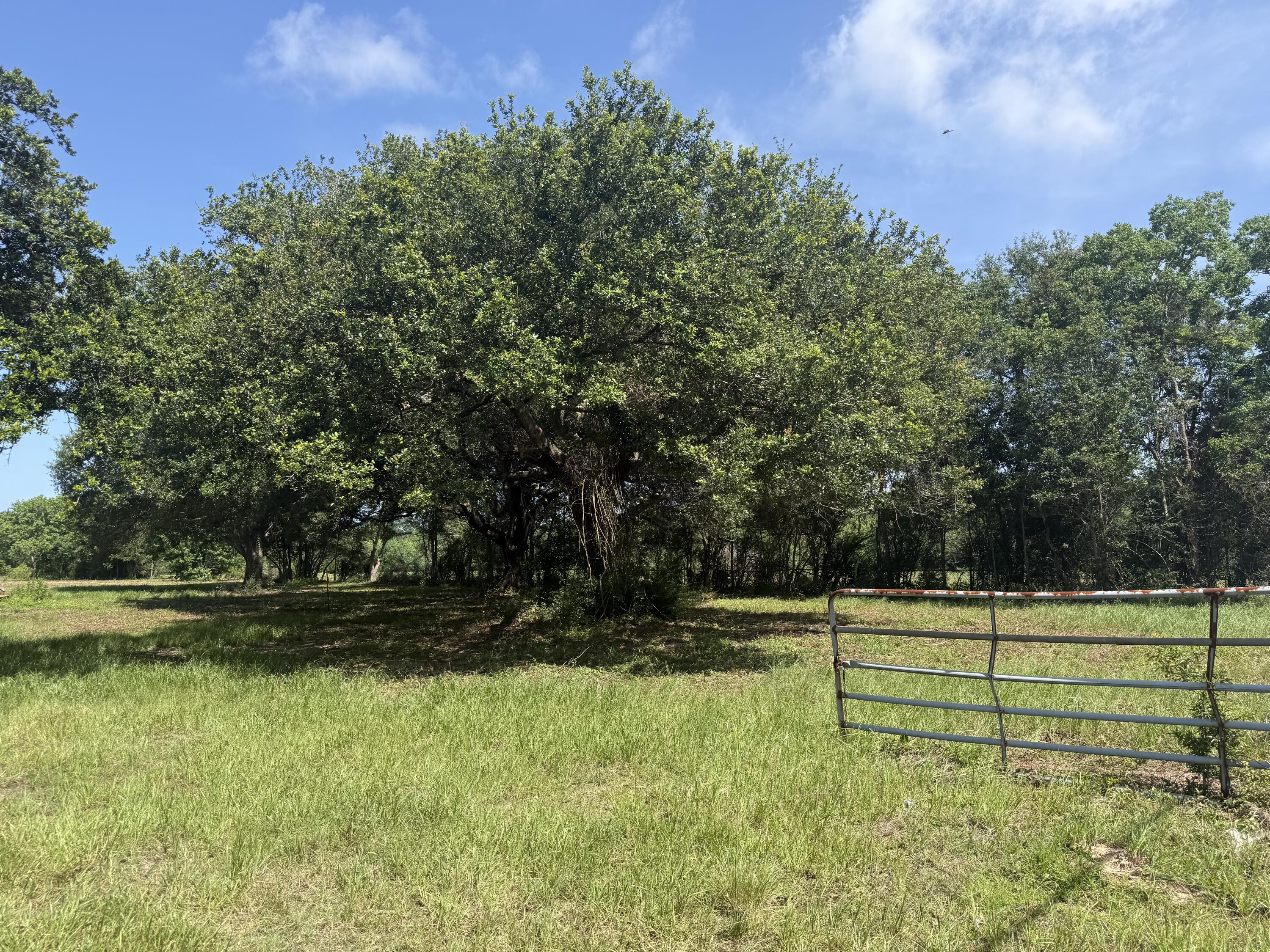 Photo 1 of 12 — TBD Highway 190 W / Wingate Rd, DeRidder, LA 70634