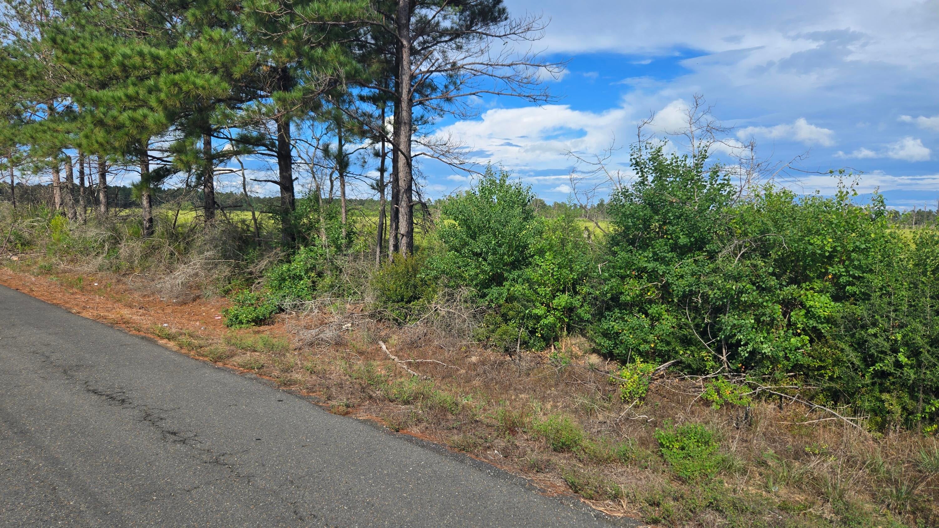 Planer Mill Rd - Photo 4