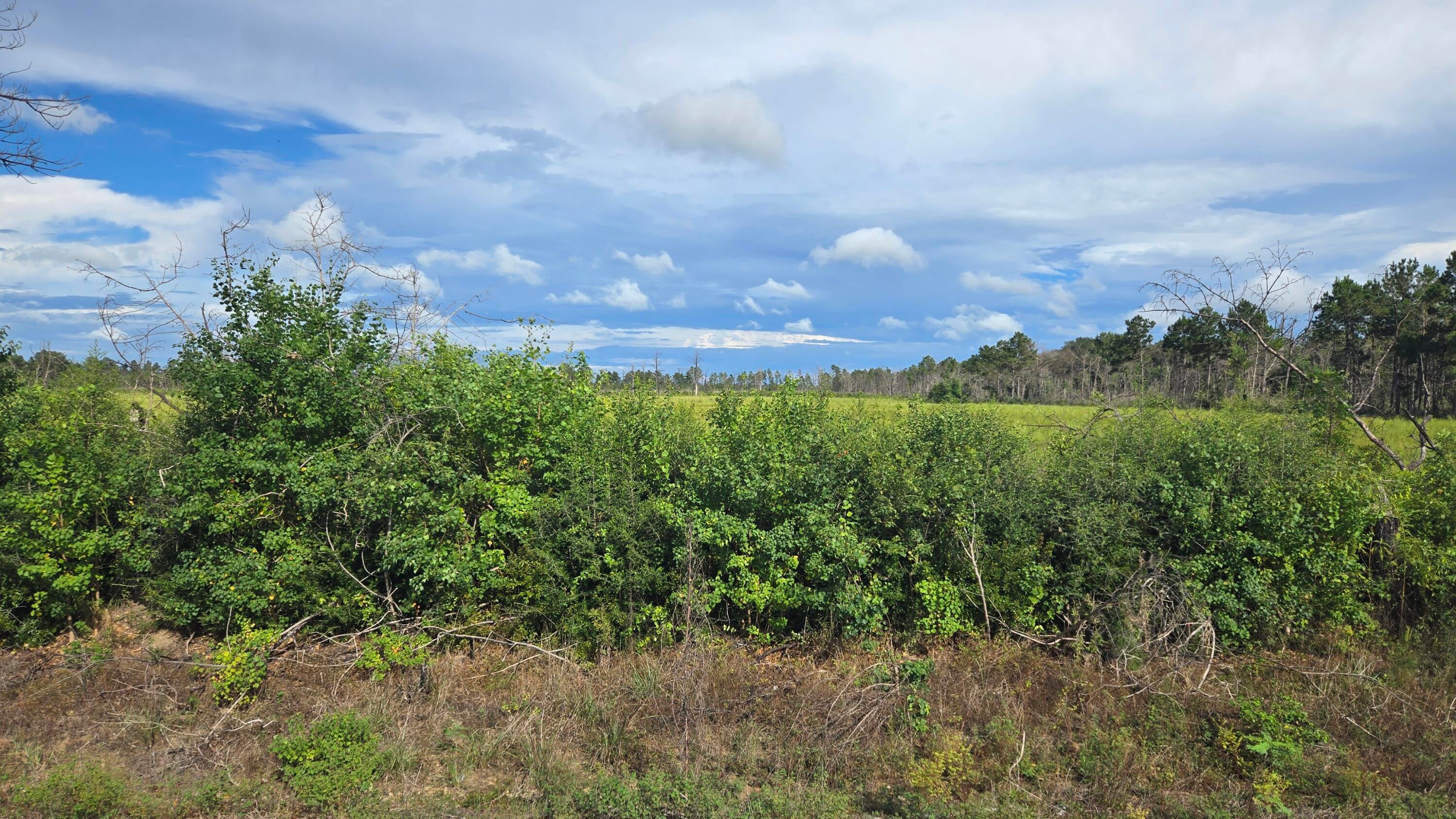 Planer Mill Rd - Photo 2