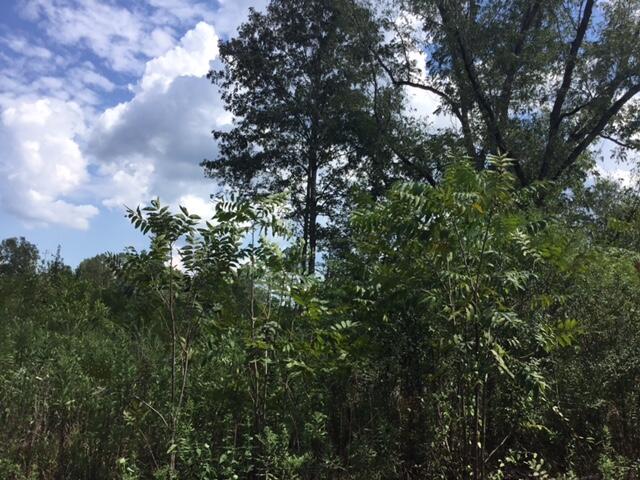 Highway 26 - Photo 3