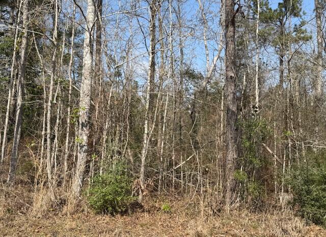 Photo 1 of 1 — Lot 12, Dr Brown Rd, DeRidder, LA 70634
