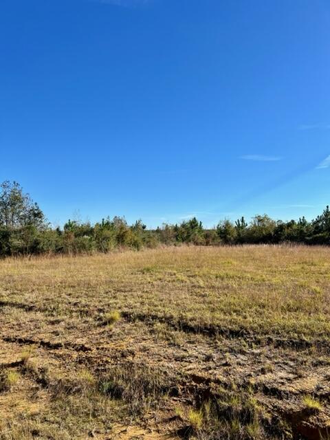 Tract 1 Rea Rd - Photo 2