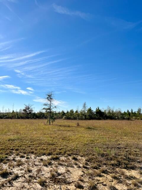Tract 1 Rea Rd - Photo 3
