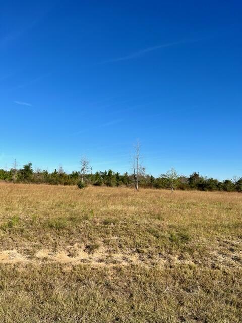 Tract 1 Rea Rd - Photo 4