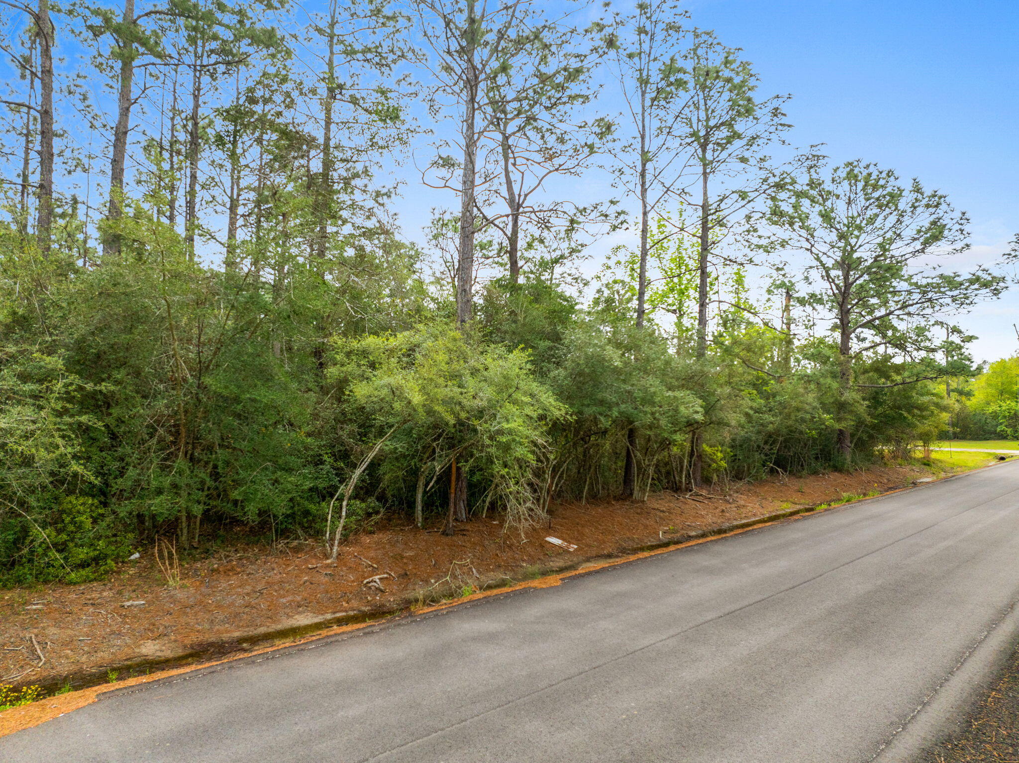 TBD N Park Ln - Photo 2
