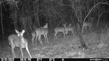 629 Parish Line Rd - Photo 3