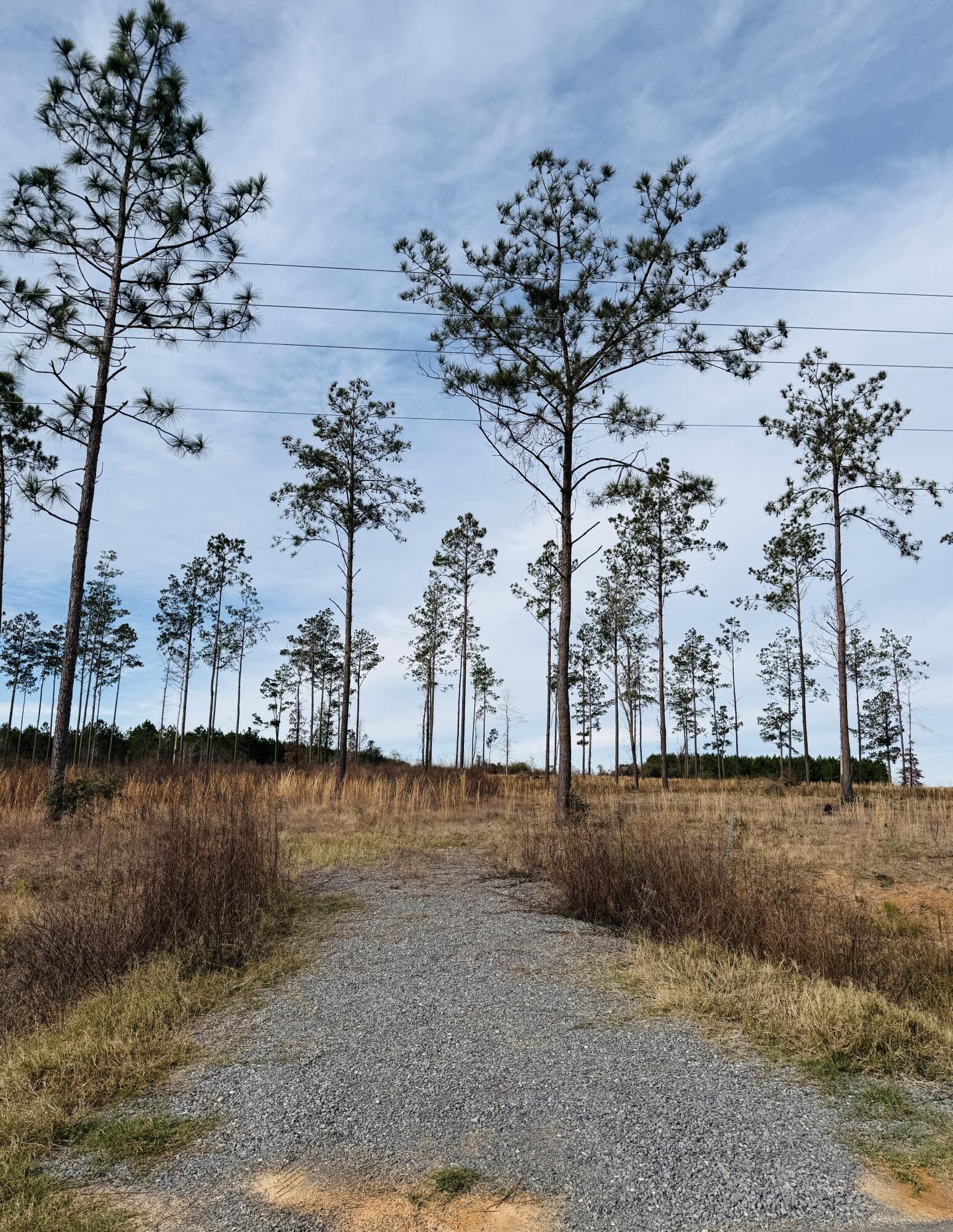 Photo 1 of 2 — Paul McMillian Rd, DeRidder, LA 70634