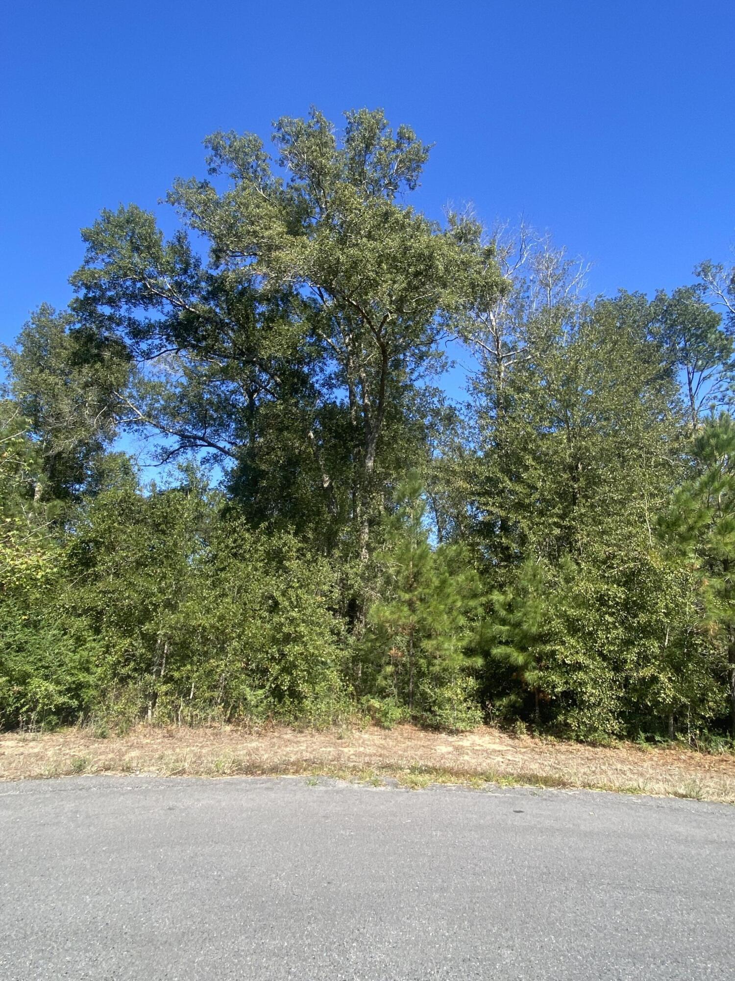 E Robinwood Dr - Photo 2