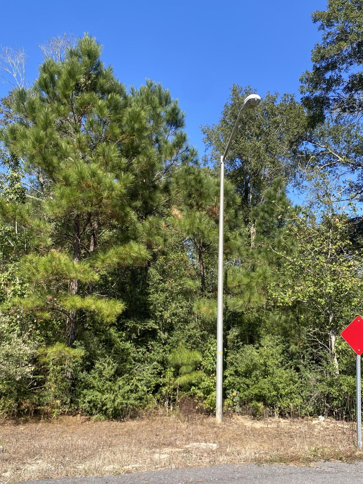 E Robinwood Dr - Photo 3